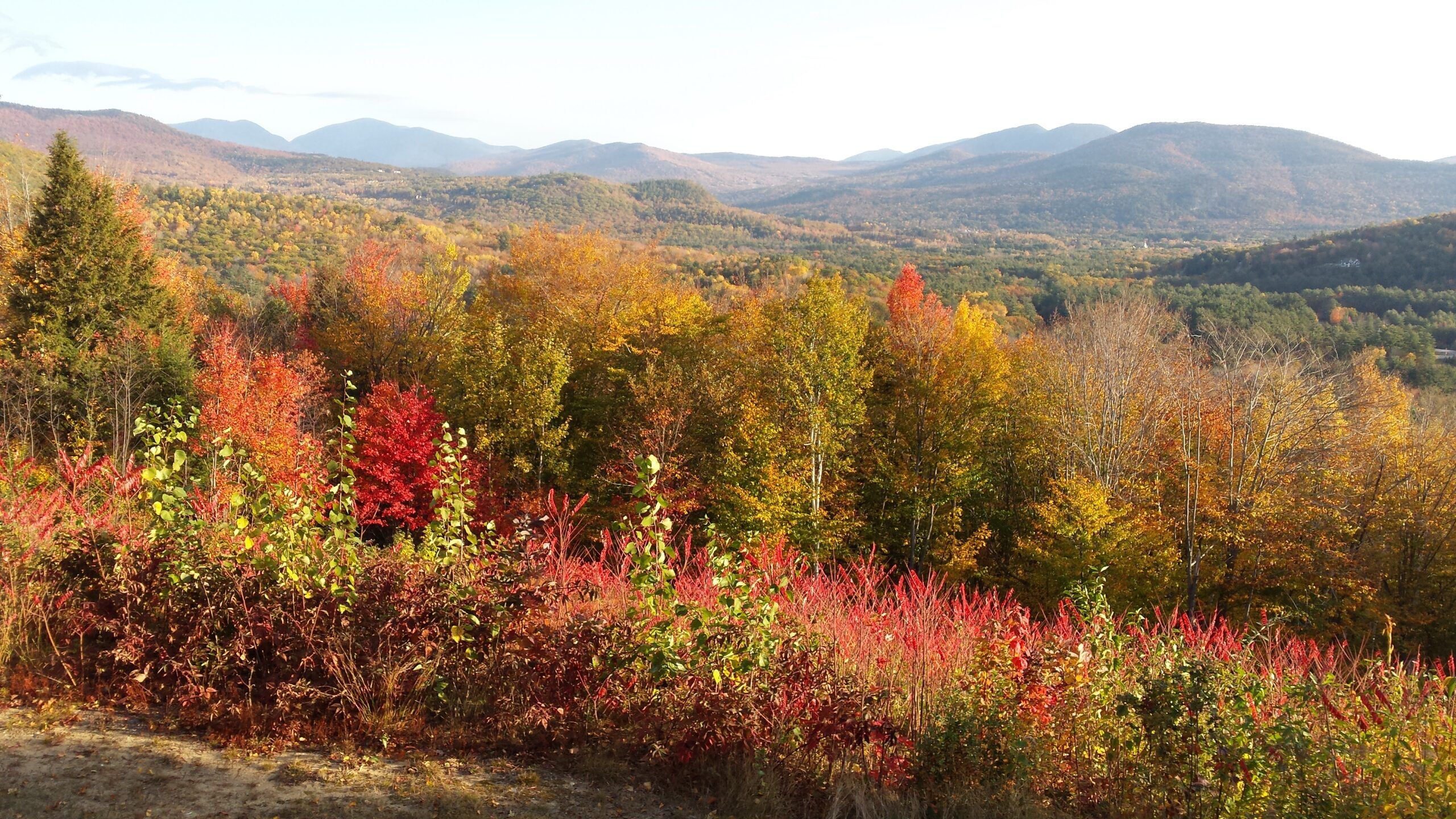 2560x1440 Fall Foliage in the White Mountains, NH