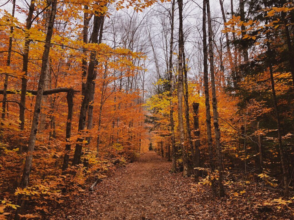 1024x768 Best Time to Visit New Hampshire 2026: Fall Foliage, Summer Fun, and More