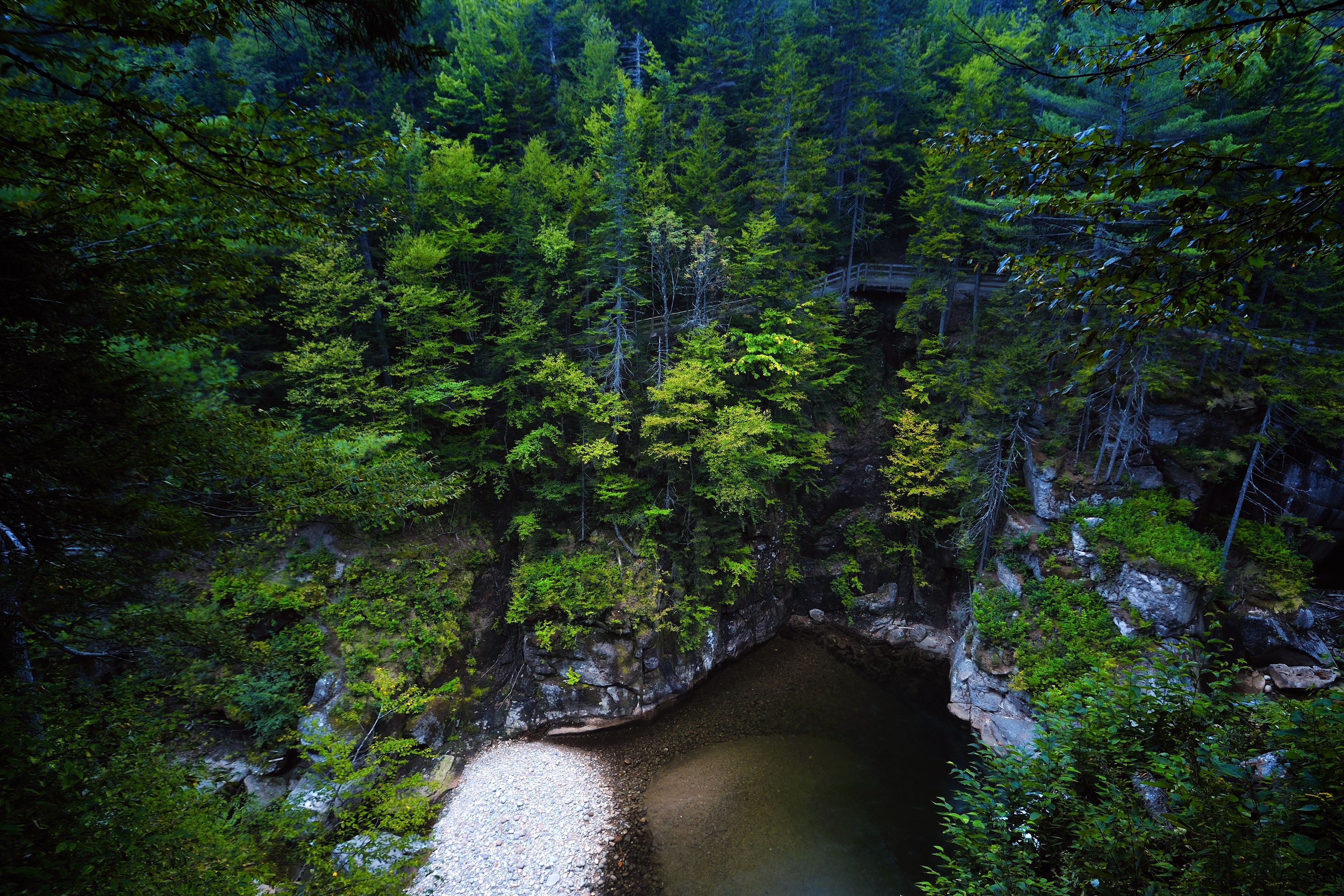 3000x2000 New Hampshire Forest