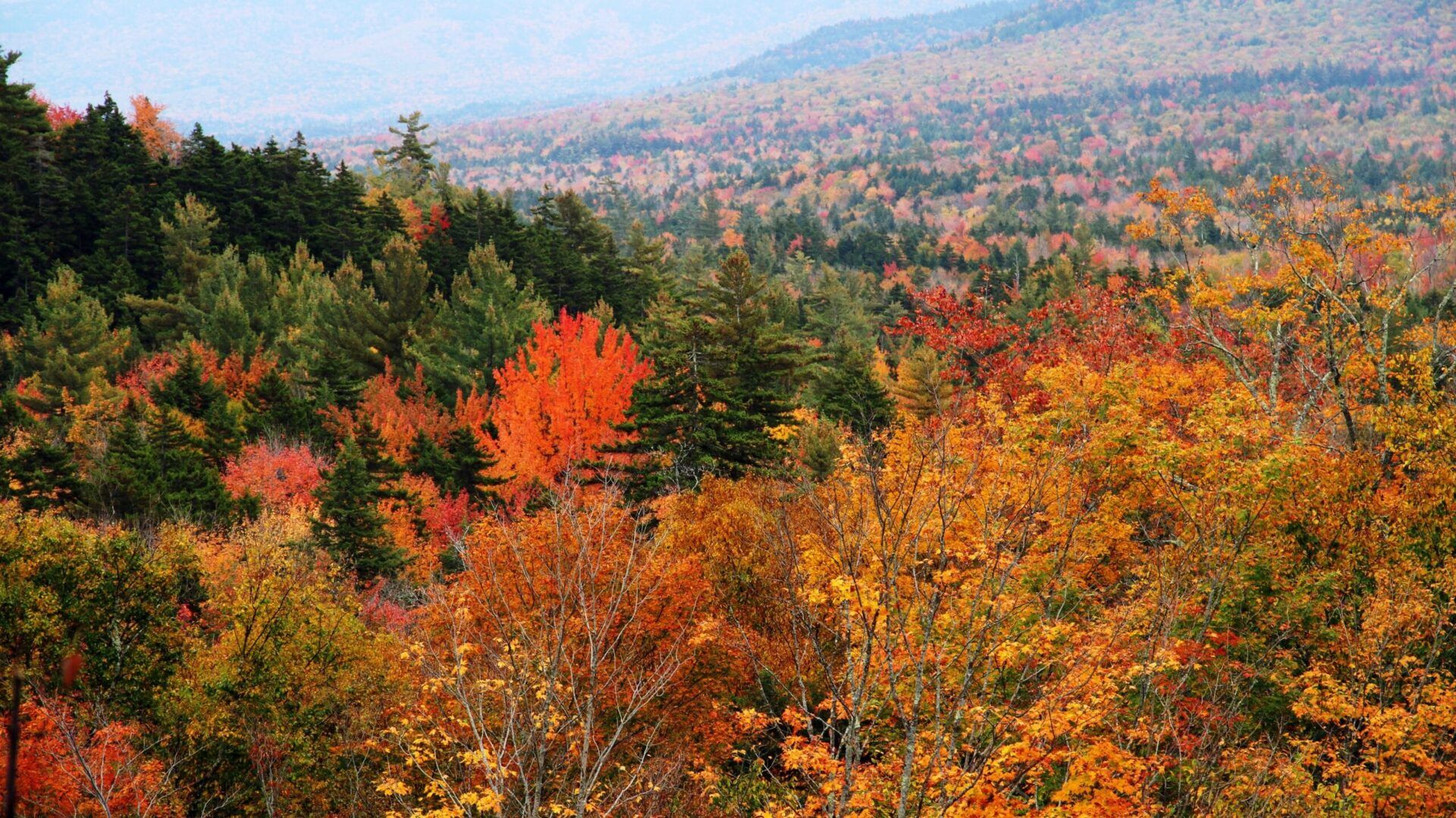 1920x1080 Best Ways To See Fall Colors in Vermont & New Hampshire. Rabbit Hill Inn