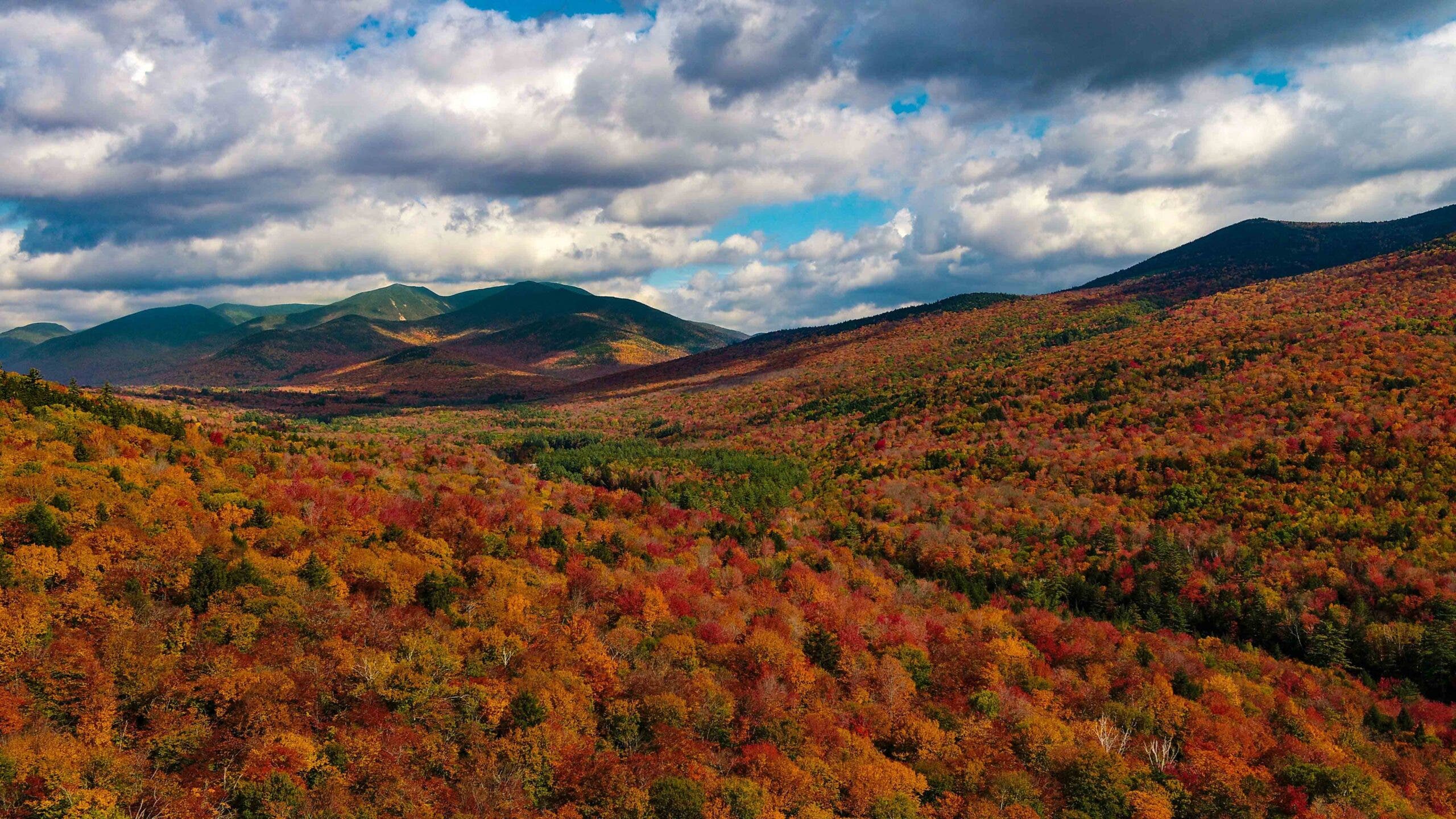 2560x1440 Best National Forests for Fall Foliage