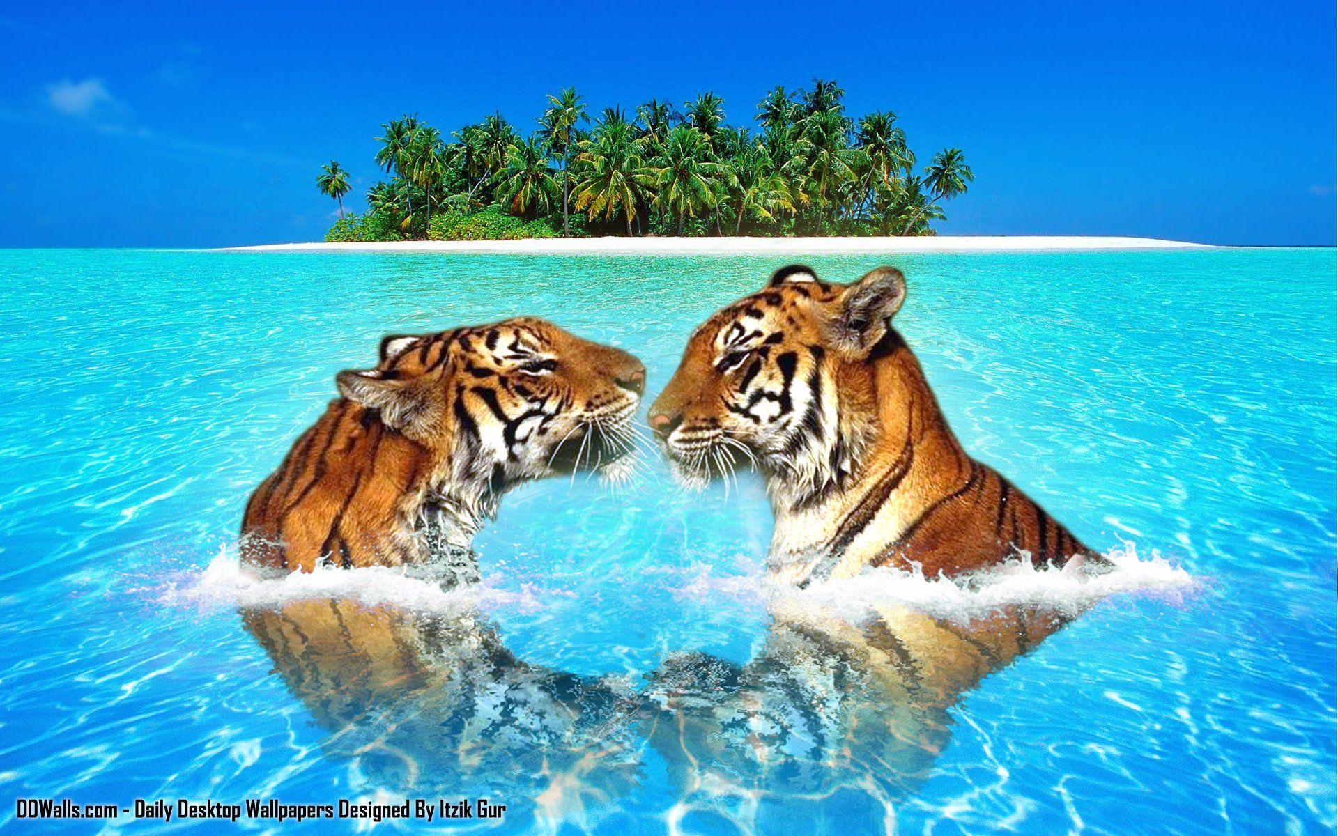 1920x1200 Free download wallpaper wildlife nature photocombo [1920x1200] for your Desktop, Mobile & Tablet. Explore Wildlife Wallpaper. Free Wildlife Wallpaper, Canadian Wildlife Wallpaper, Camo Wallpaper Canada