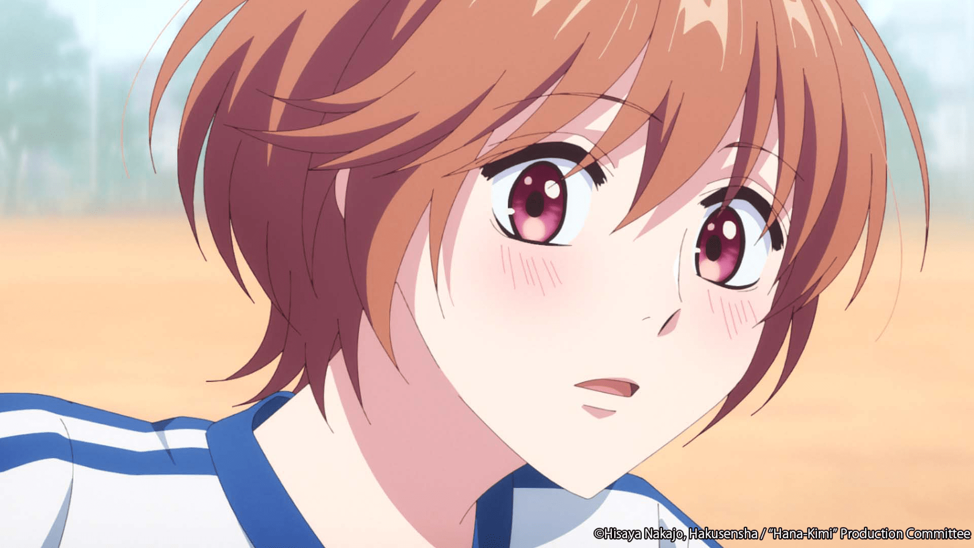 1920x1080 Hana Kimi Anime Announces Season 2 In Production