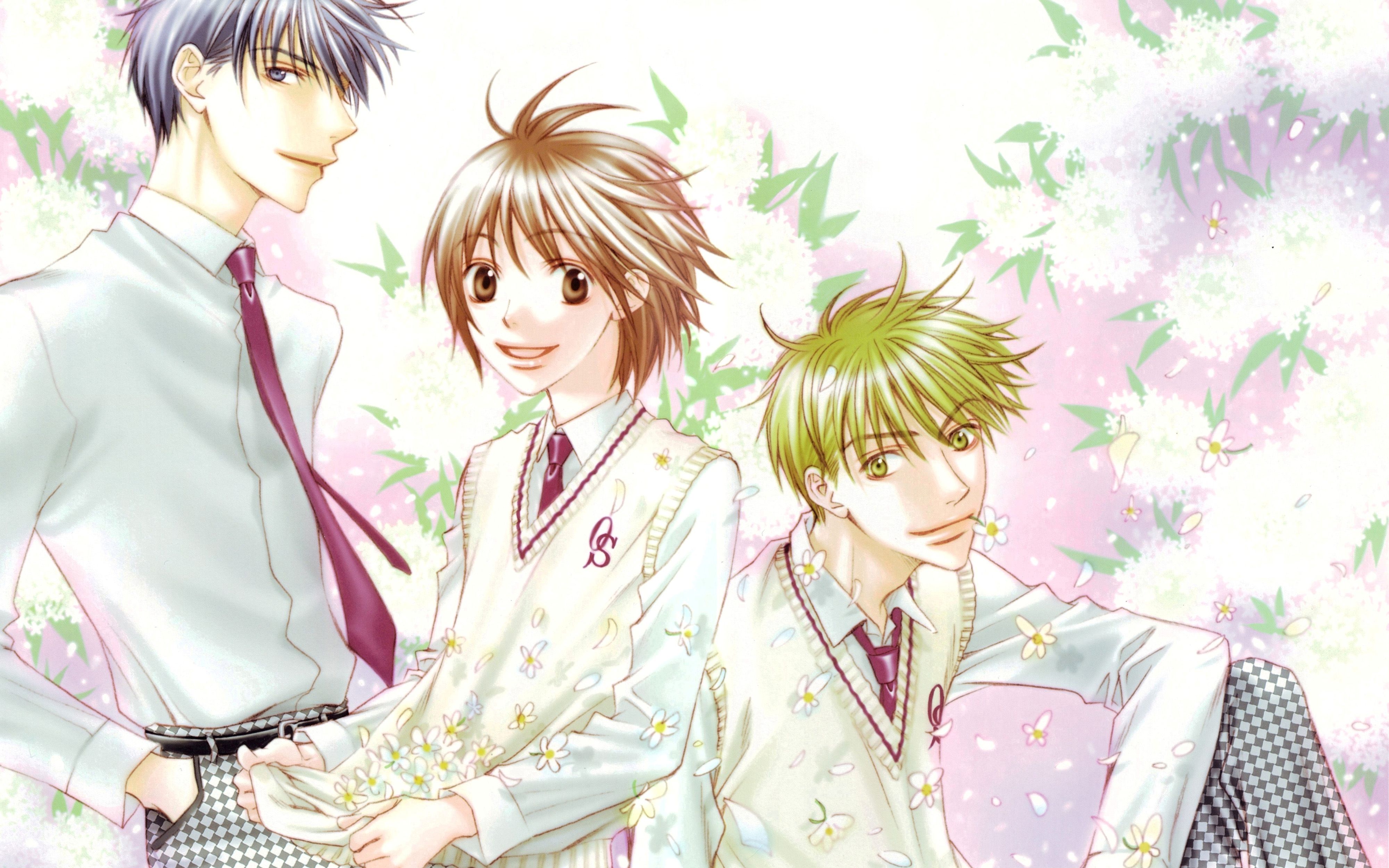 4000x2500 Hanazakari no Kimitachi e HD Wallpaper by Nakajo Hisaya Anime Image Board