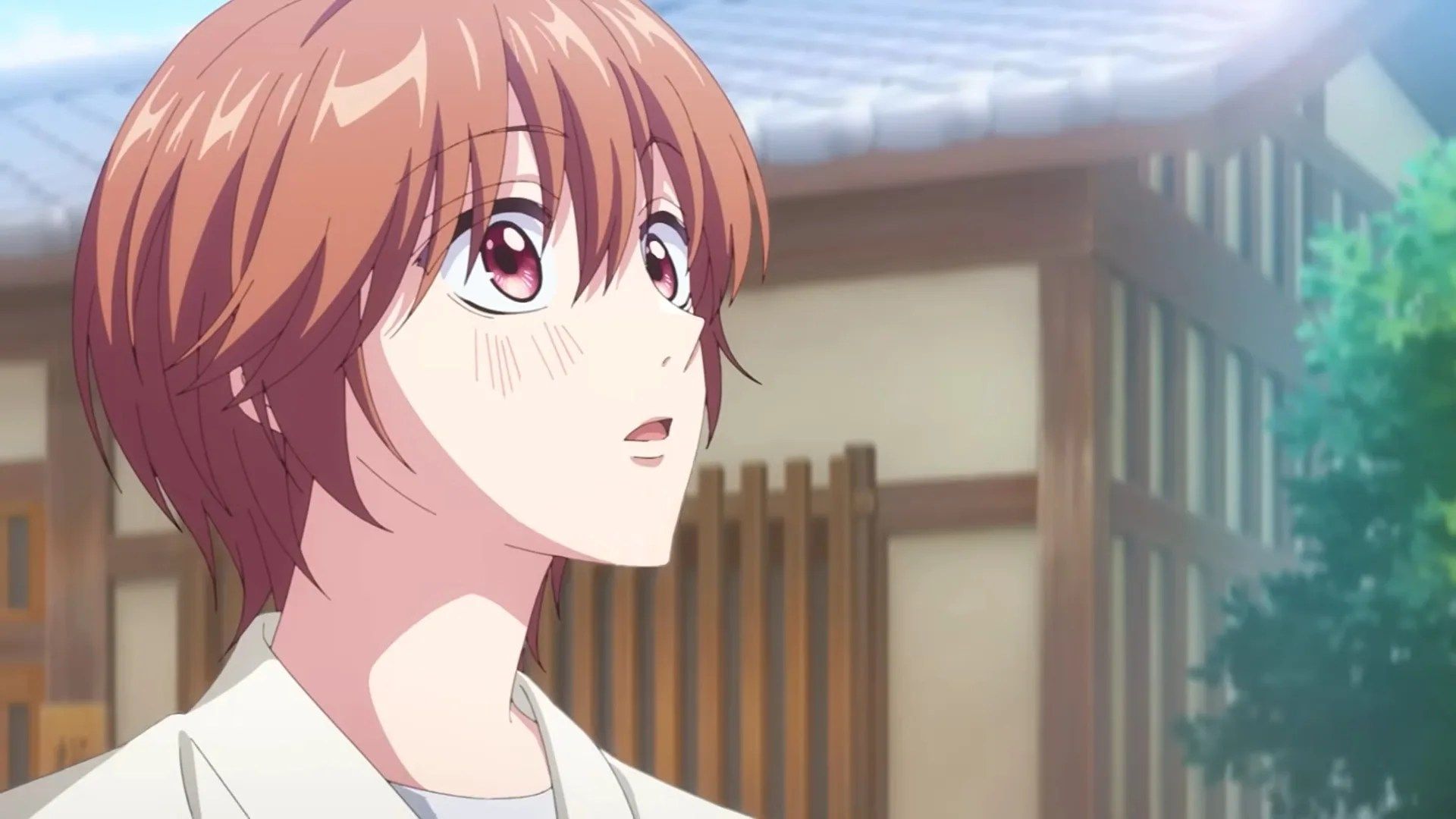 1920x1080 Hana Kimi Season 2 Gets A Release Date In A New Trailer