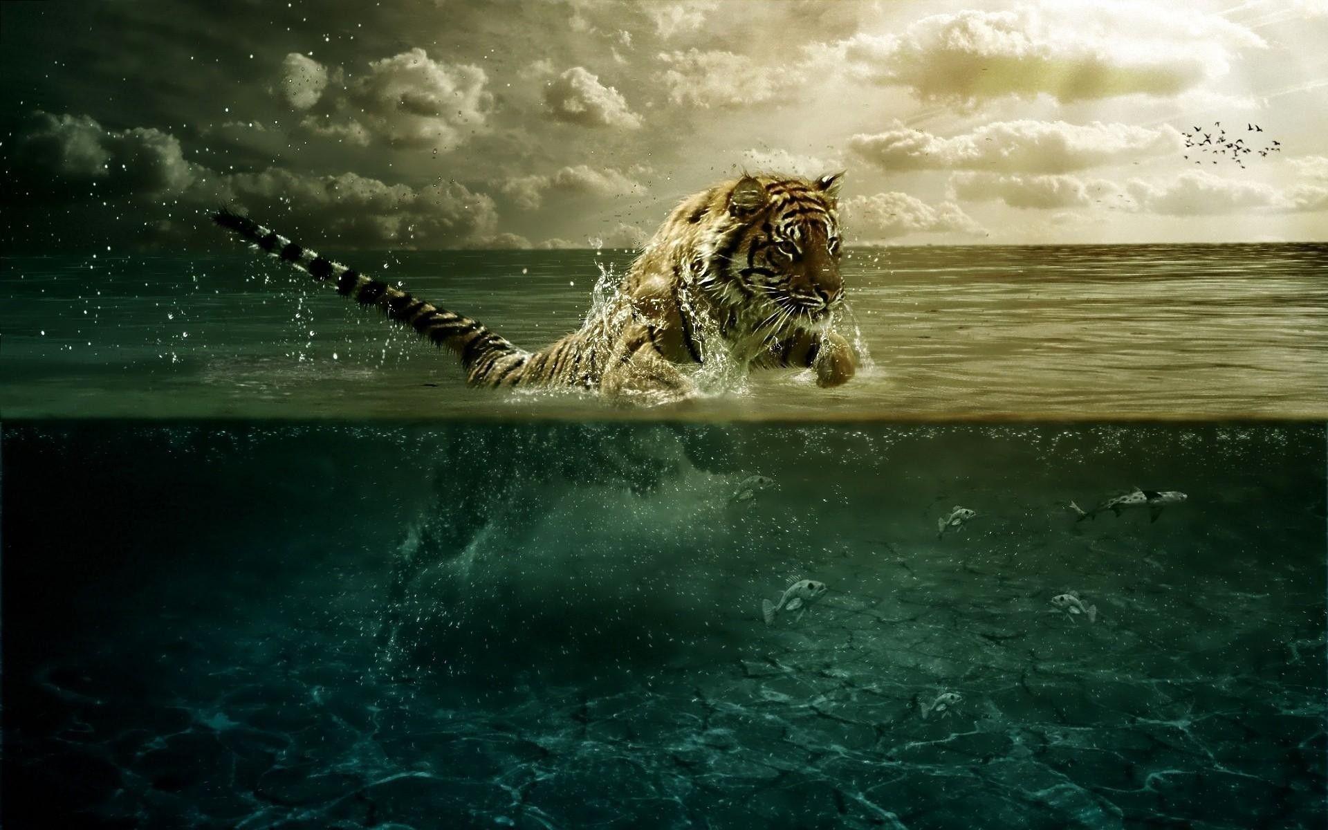 1920x1200 Hd Wildlife Wallpaper