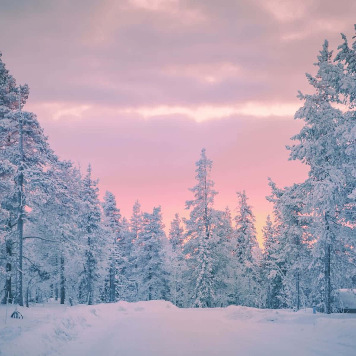 1200x1200 Download Beautiful Cloudy Sunset Cozy Winter Aesthetic Photography Wallpaper
