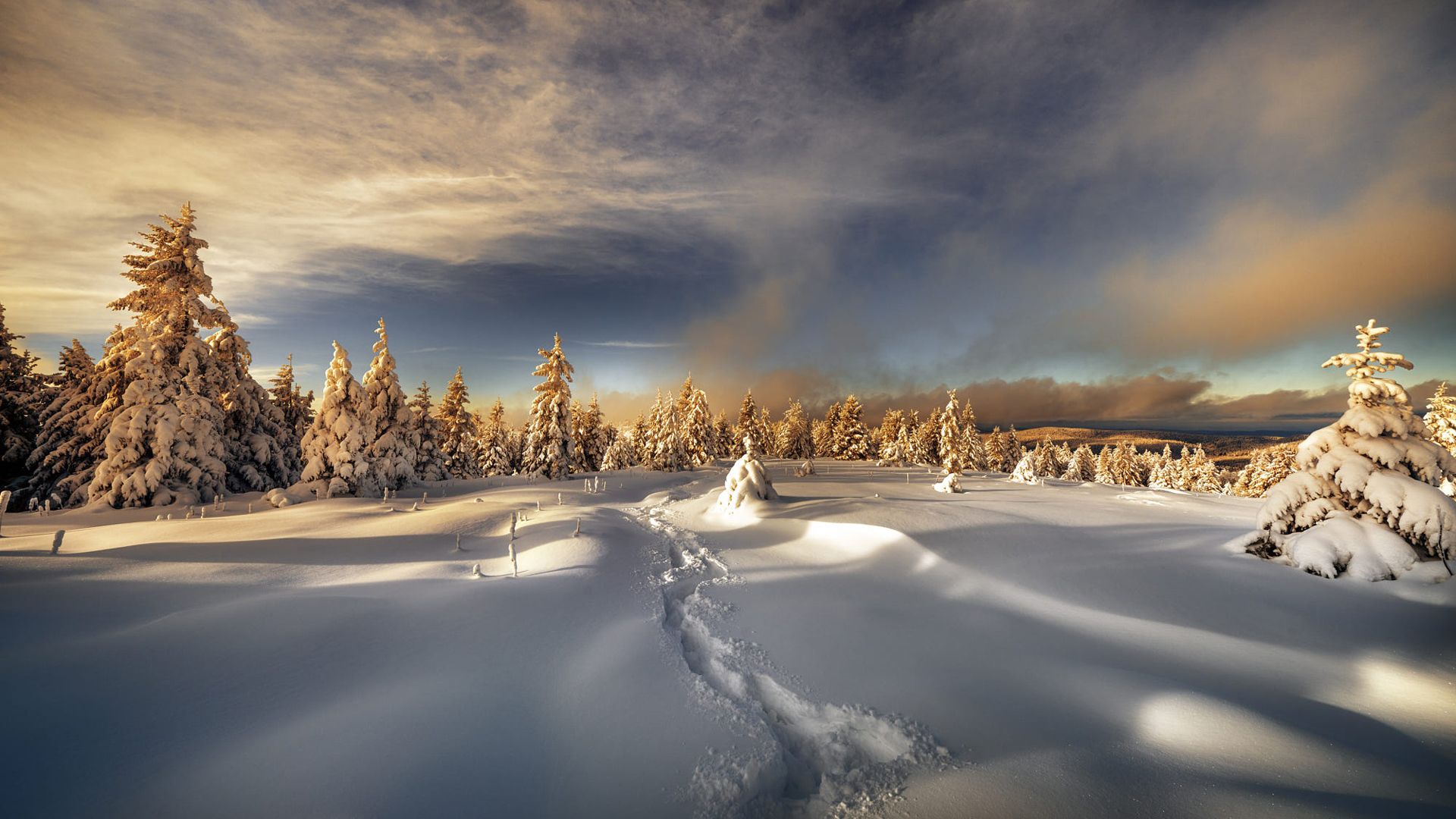 1920x1080 Landscape And Trees Covered With White Snow Under Cloudy Sky HD Winter Wallpaper