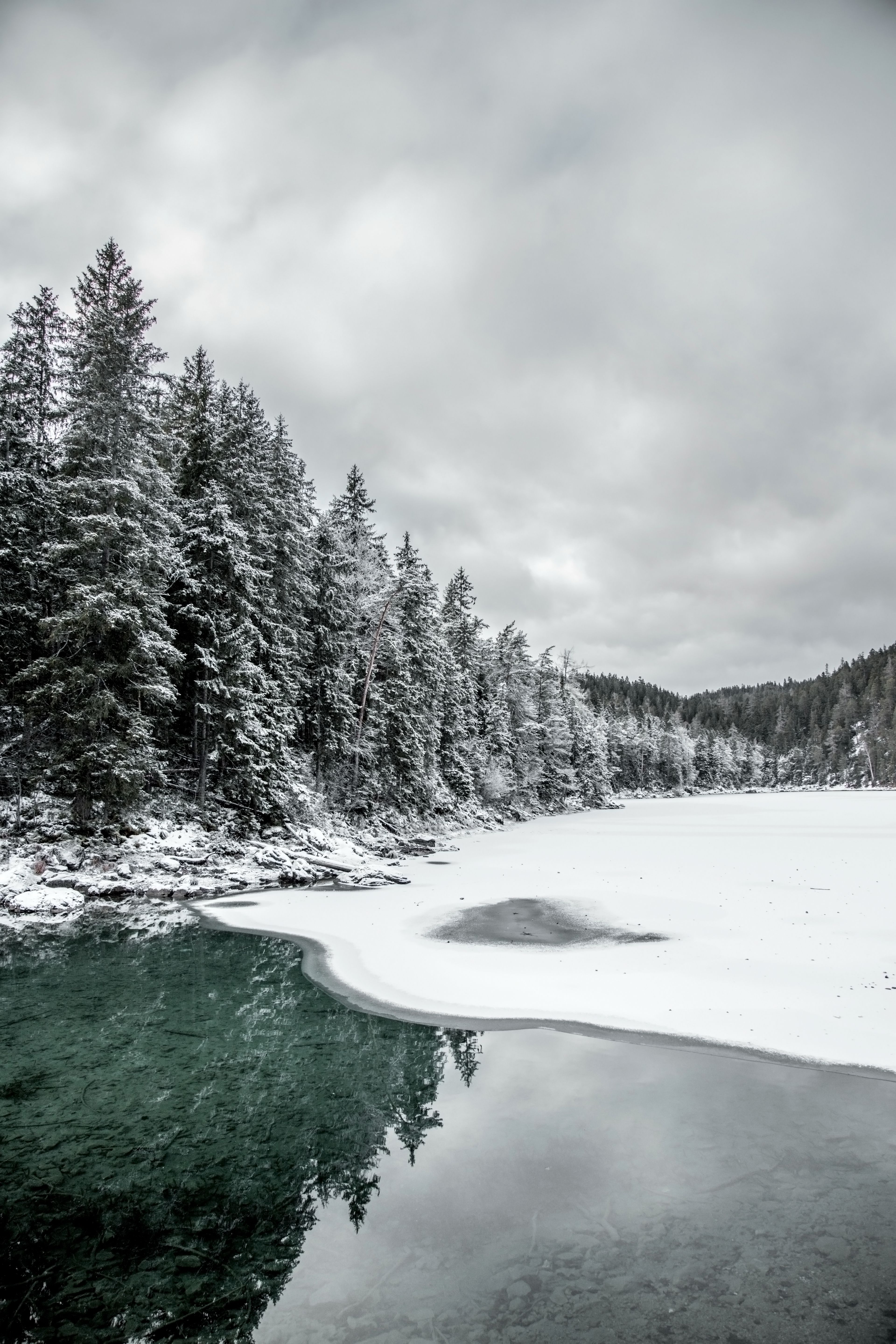 3840x5760 Green Pine Trees Covered With Snow Near Body of Water Under Cloudy Sky · Free