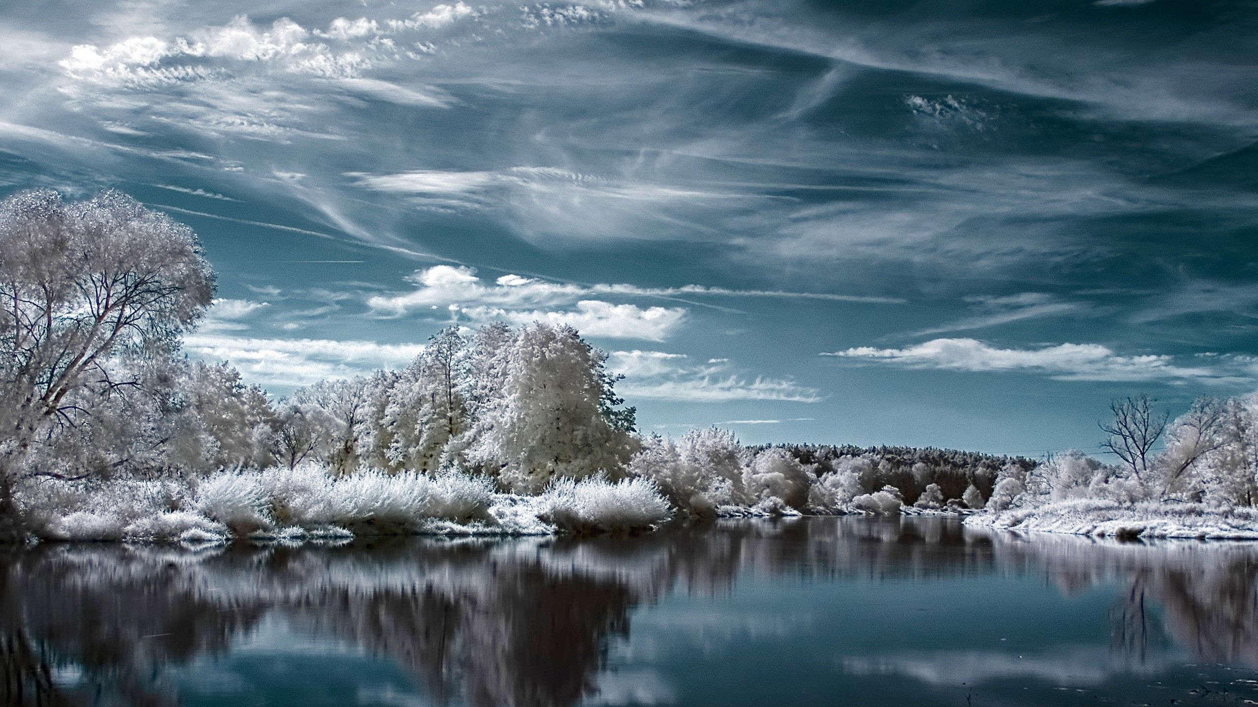 2560x1440 Wallpaper White Trees on Snow Covered Ground Beside Lake Under Blue and White Cloudy Sky During Daytime, Background Free Image