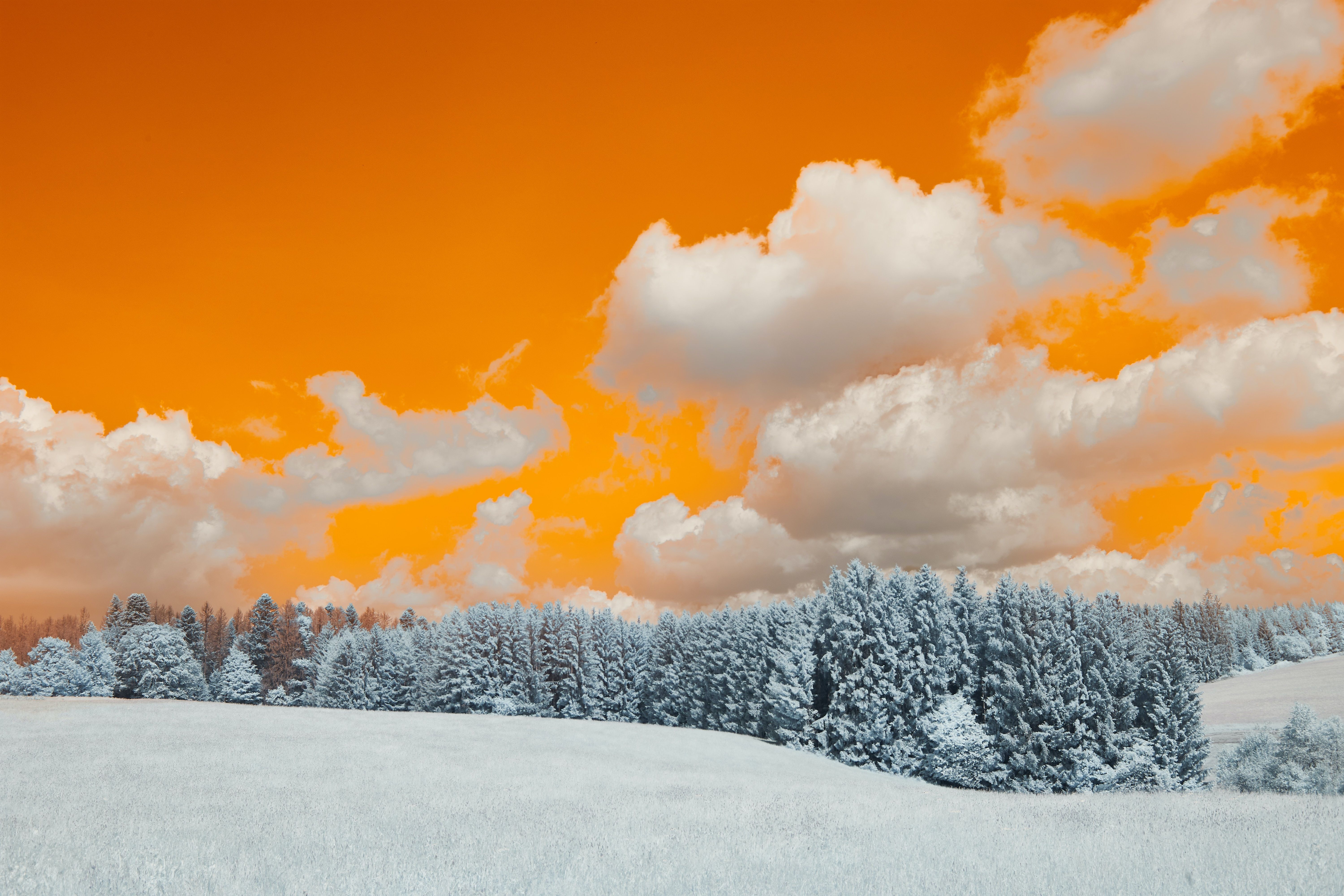 6000x4000 A Snow Covered Field With Trees Under A Cloudy Sky Wallpaper, HD Nature Wallpaper, 4k Wallpaper, Image, Background, Photos and Picture