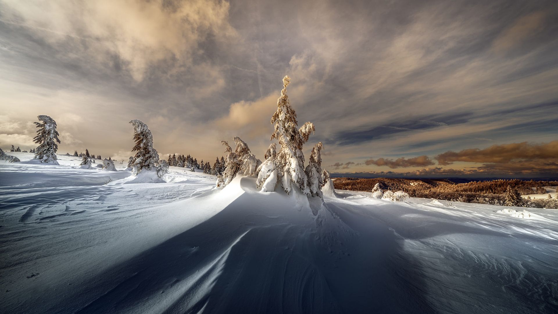 1920x1080 Landscape Covered With White Snow Under Cloudy Sky HD Winter Wallpaper