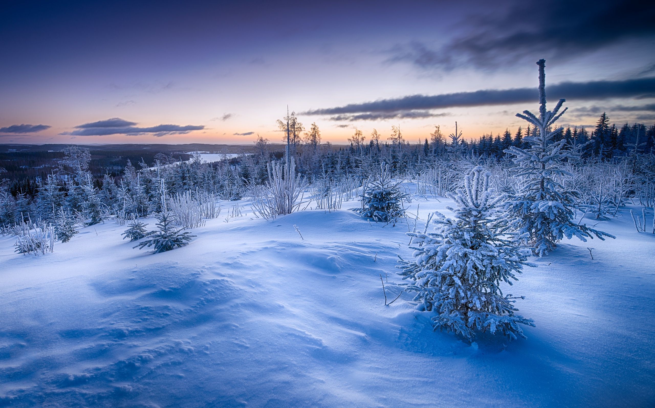 2560x1596 Wallpaper Snow Covered Field Under Cloudy Sky During Daytime, Background Free Image