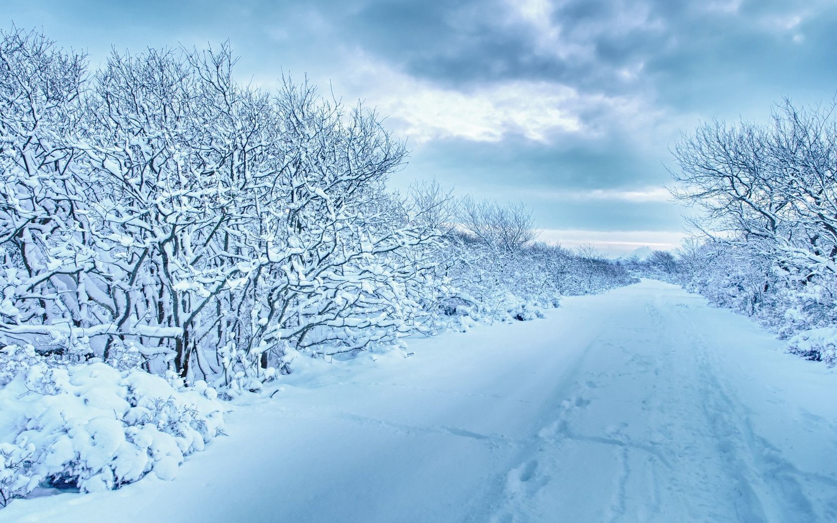 1680x1050 Phone wallpaper: Winter, Nature, Trees, Snow, Road, Mainly Cloudy, Overcast, Traces 133353