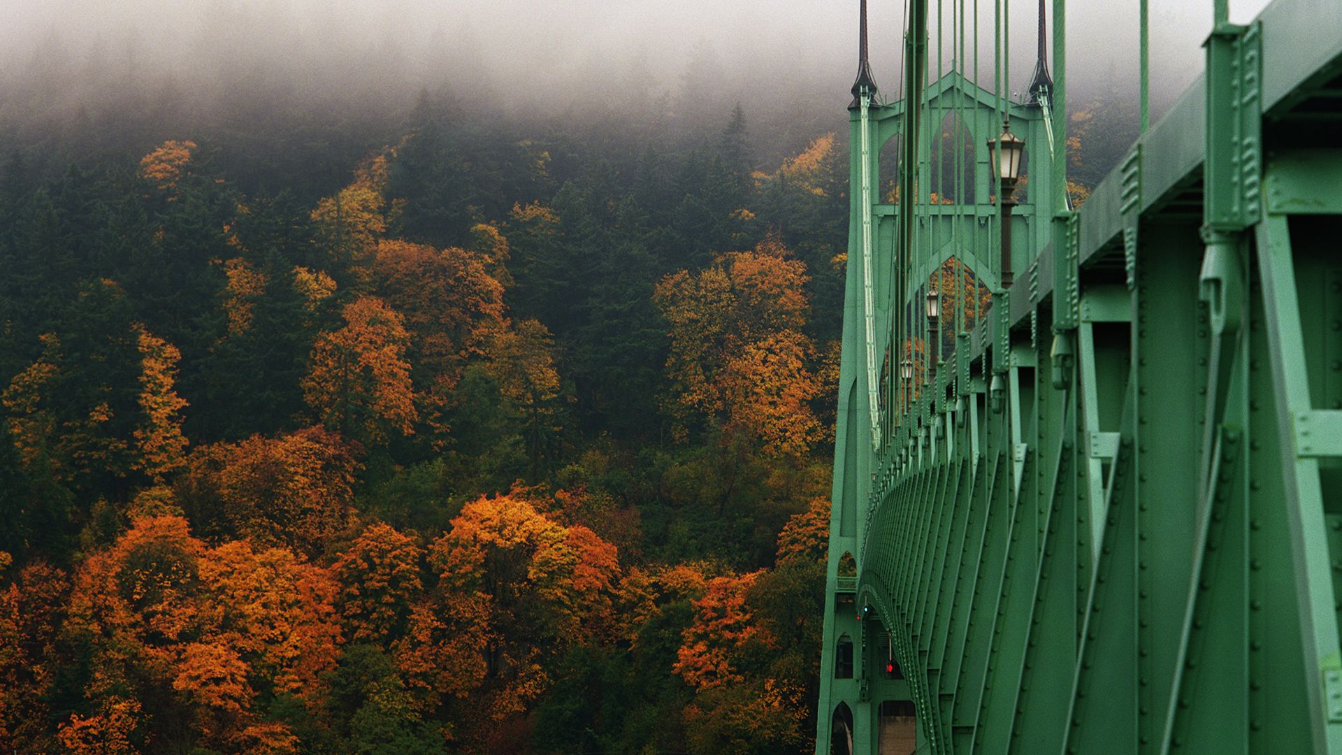 1920x1080 Gothic St. Johns suspension bridge arches into forest park in autumn, Portland, Oregon, USA. Windows Spotlight Image