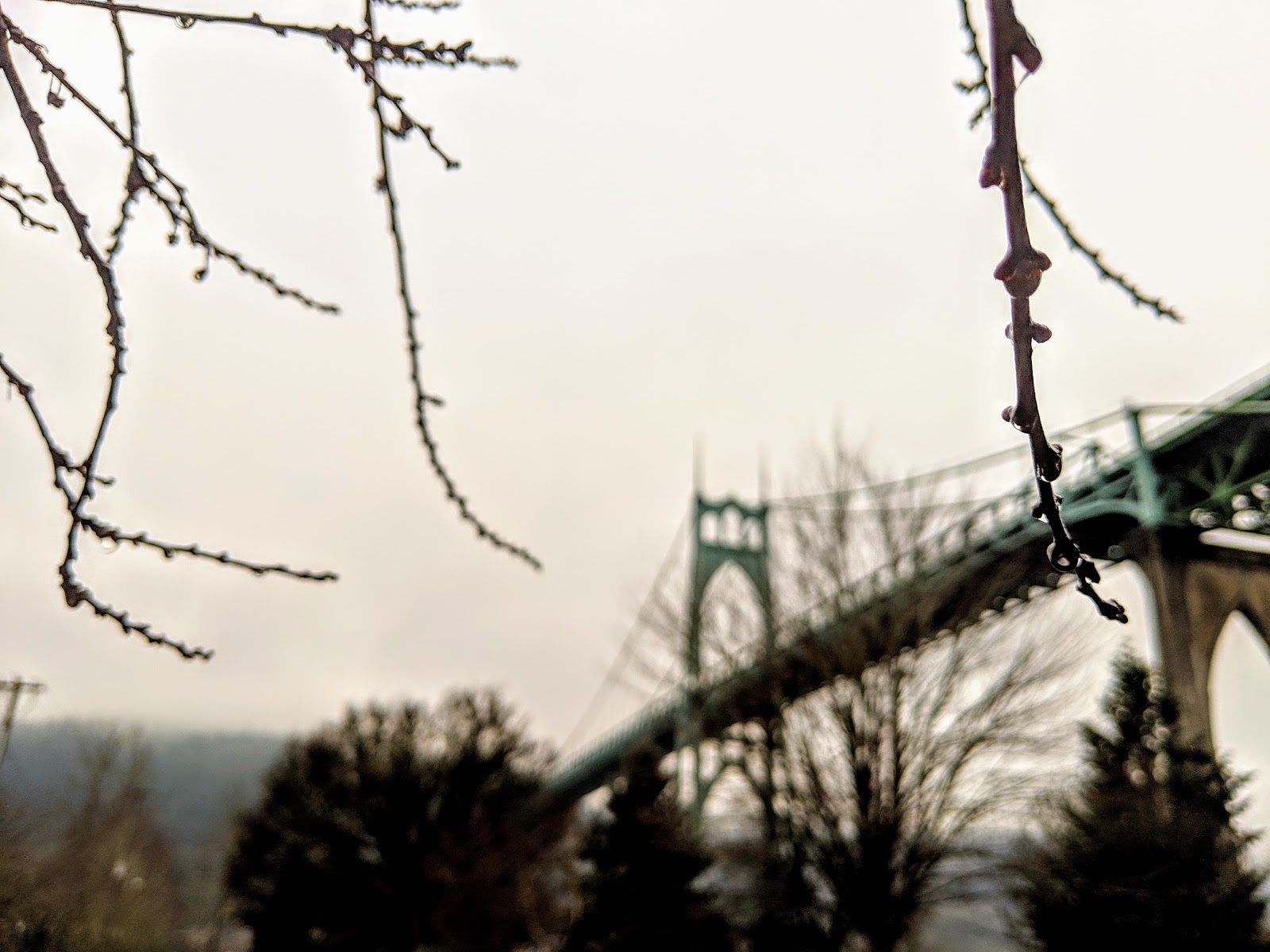 1600x1200 A St. John's Adventure with Portland Stair Walks