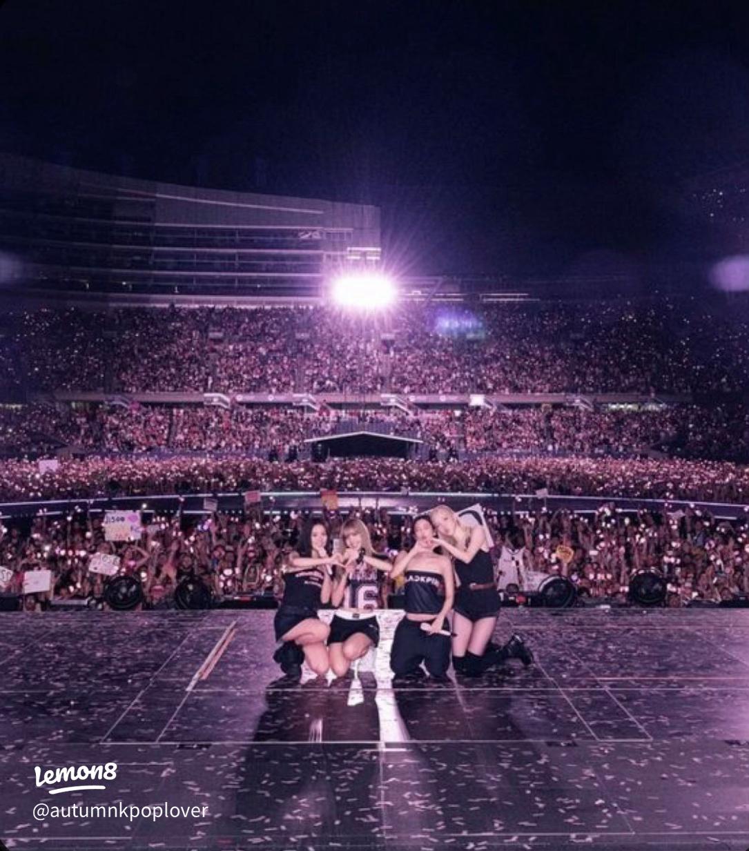 1085x1233 BLACKPINK Concert Wallpaper: Aesthetic Stage, Pink Lights & HD Magic