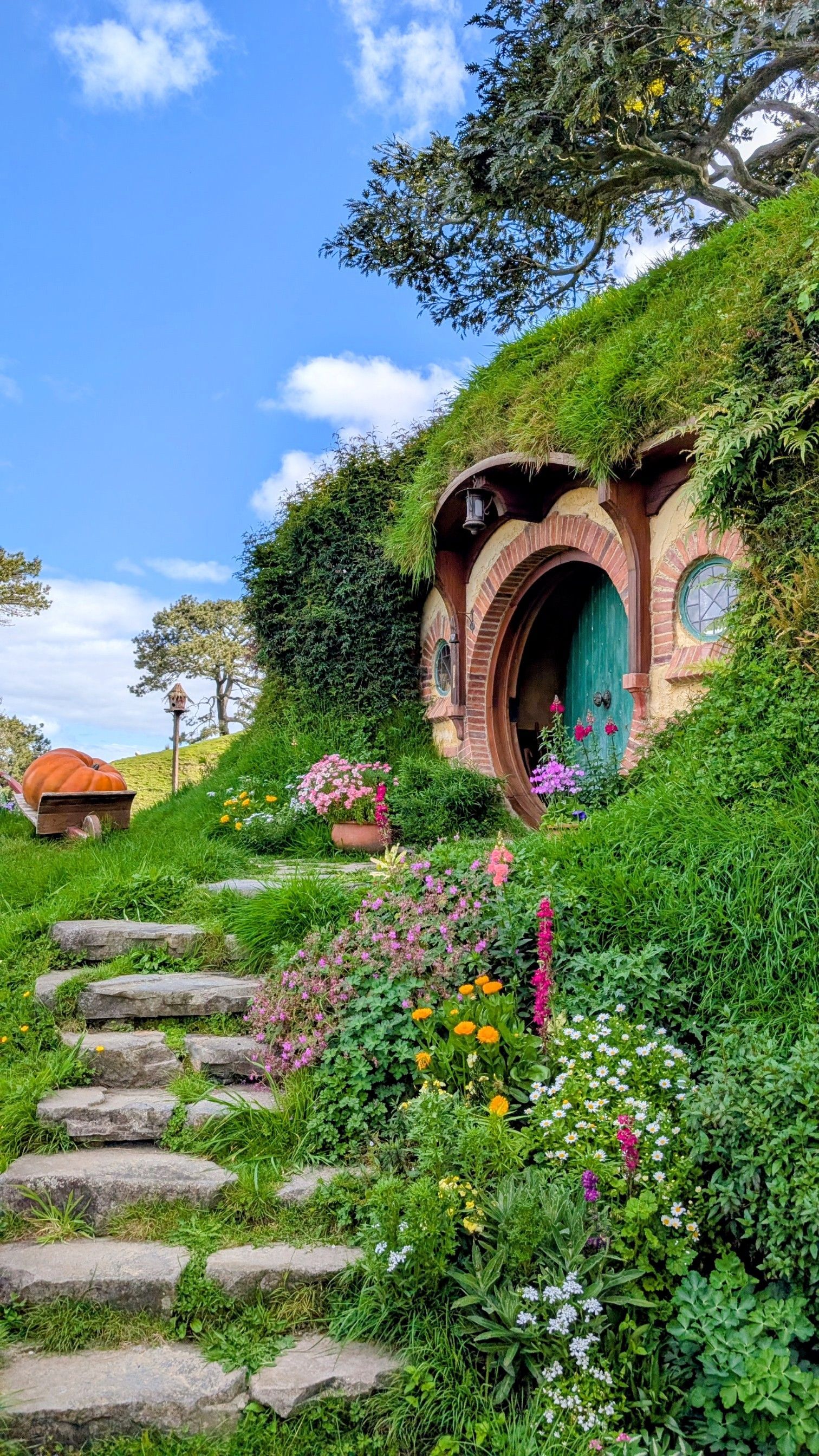 1512x2688 Hobbiton Photo, Download The BEST Free Hobbiton & HD Image
