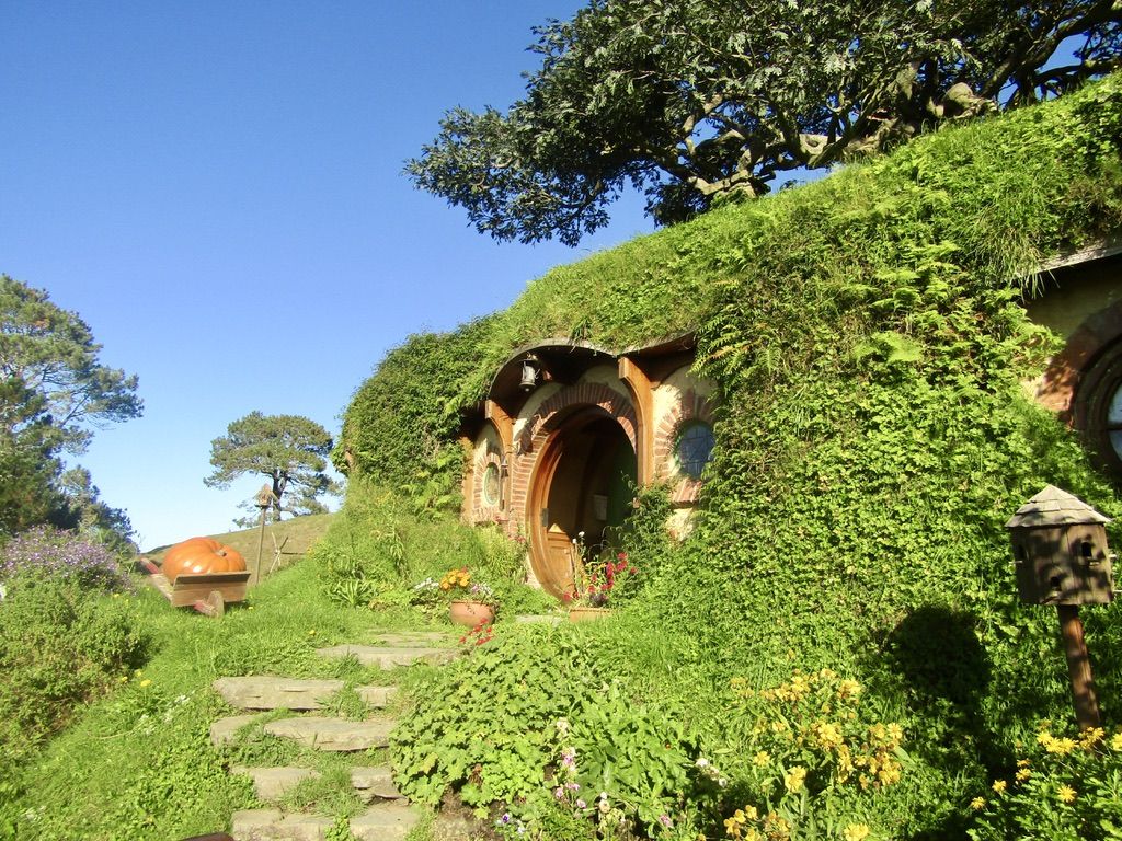 1024x768 Lord of the Rings Film Locations to Visit in New Zealand With Maja