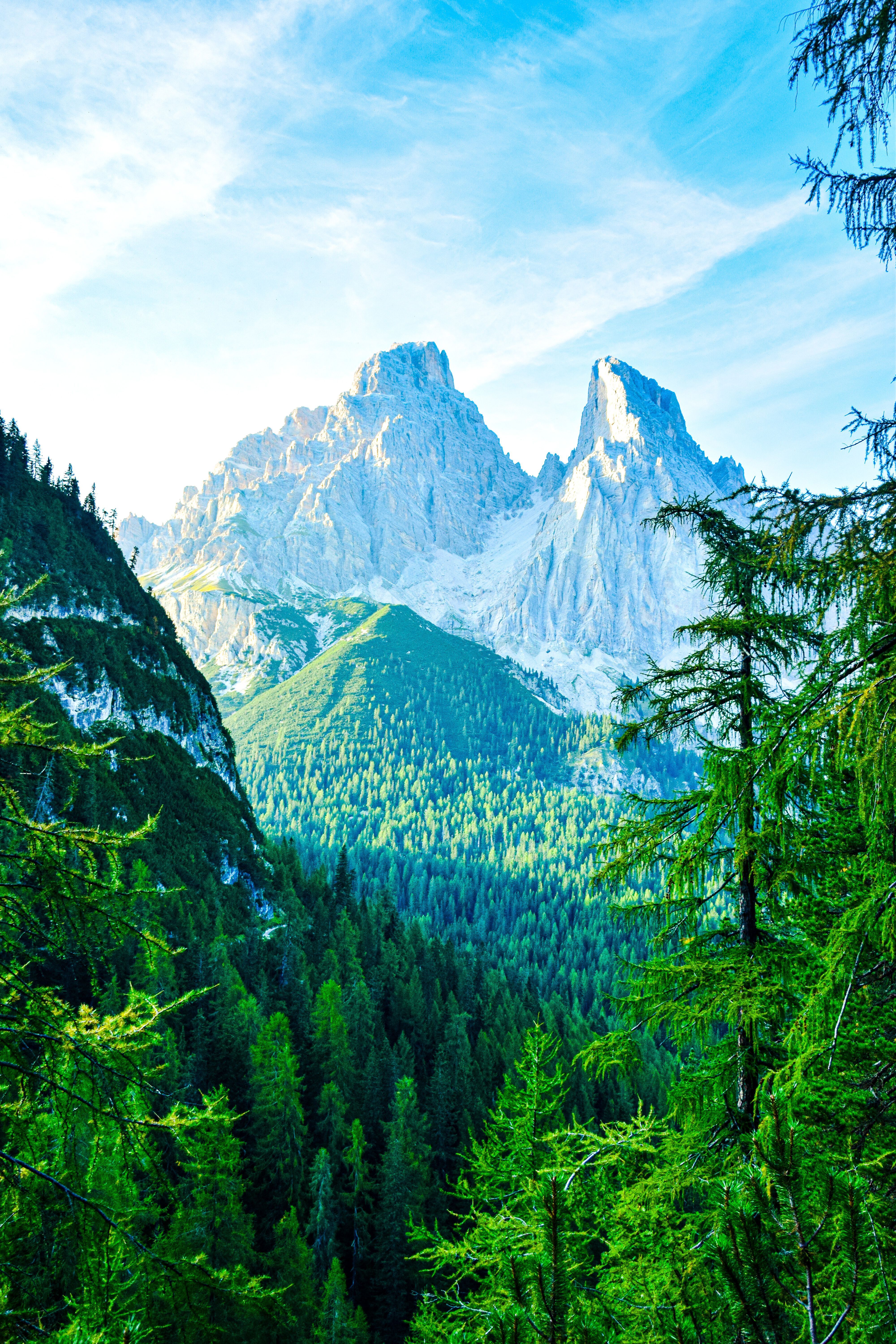 4000x6000 Green Forest in Valley in Mountains · Free