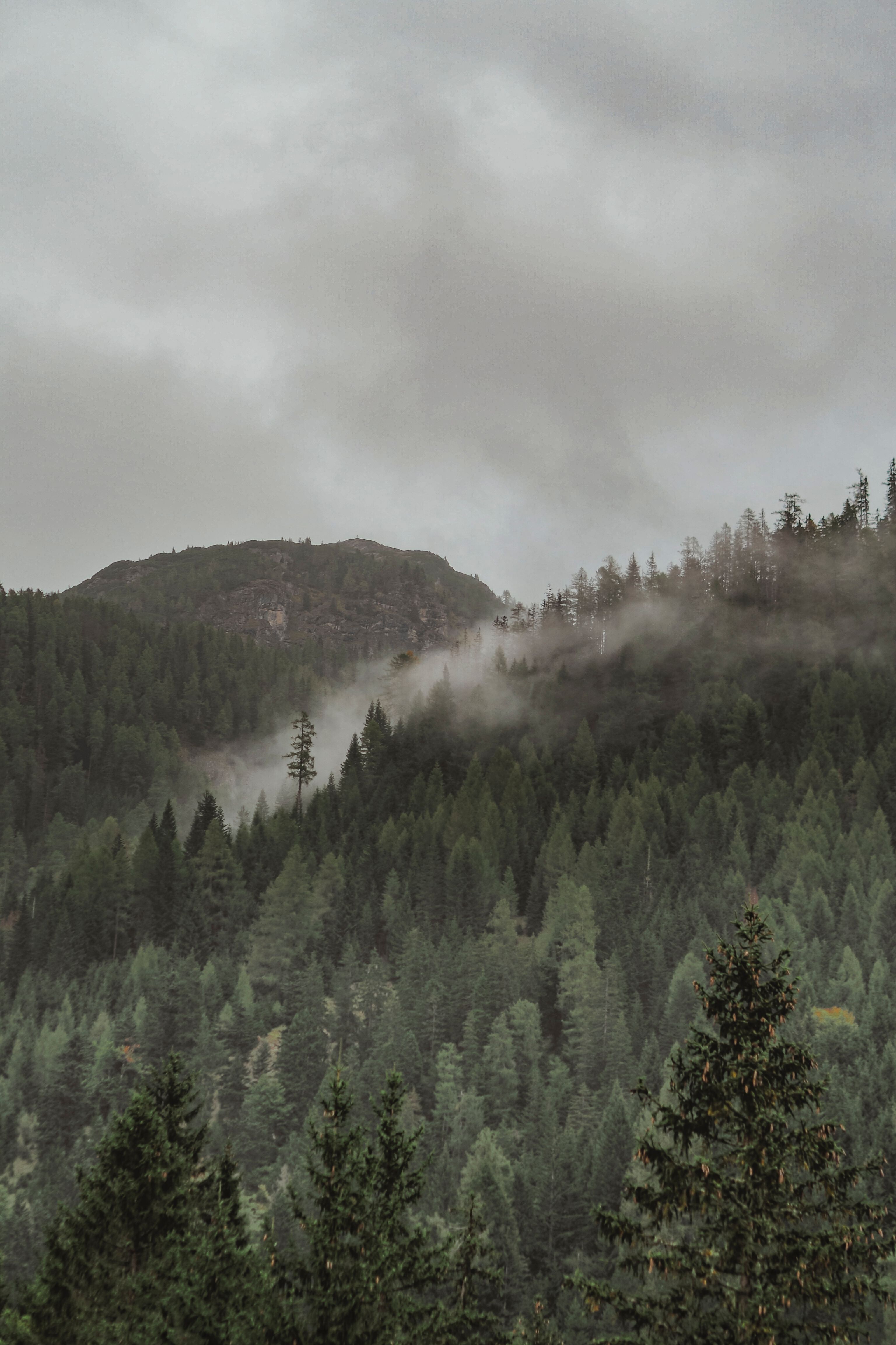 3072x4608 Mountain Forest Photo, Download The BEST Free Mountain Forest & HD Image