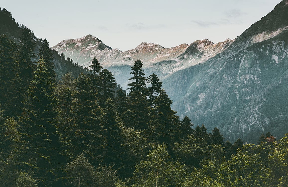 1155x750 Mountain Peak Wallpaper Mural