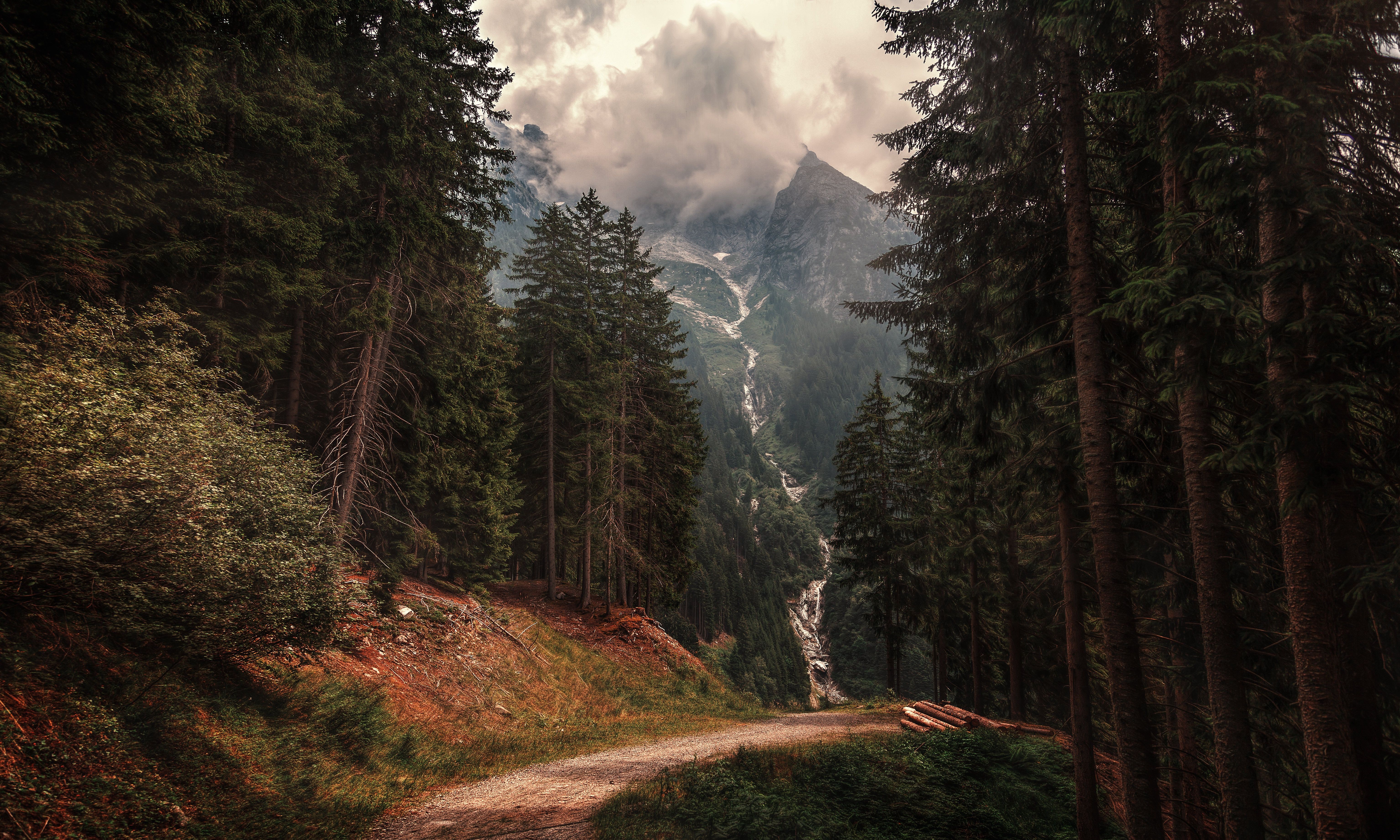 6143x3686 Download Fir Tree Mountain Forest Italy Alps Nature Path 4k Ultra HD Wallpaperx3686