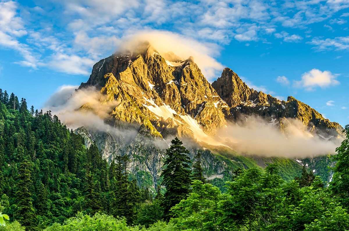 1200x795 Sunlight Falling on Mountain, Forest Wallpaper for Walls®