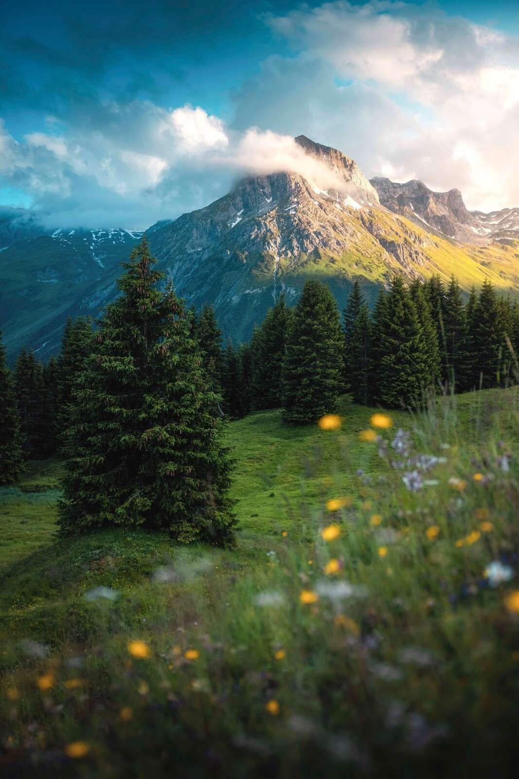 1067x1600 Wall Mural meadow in morning mist