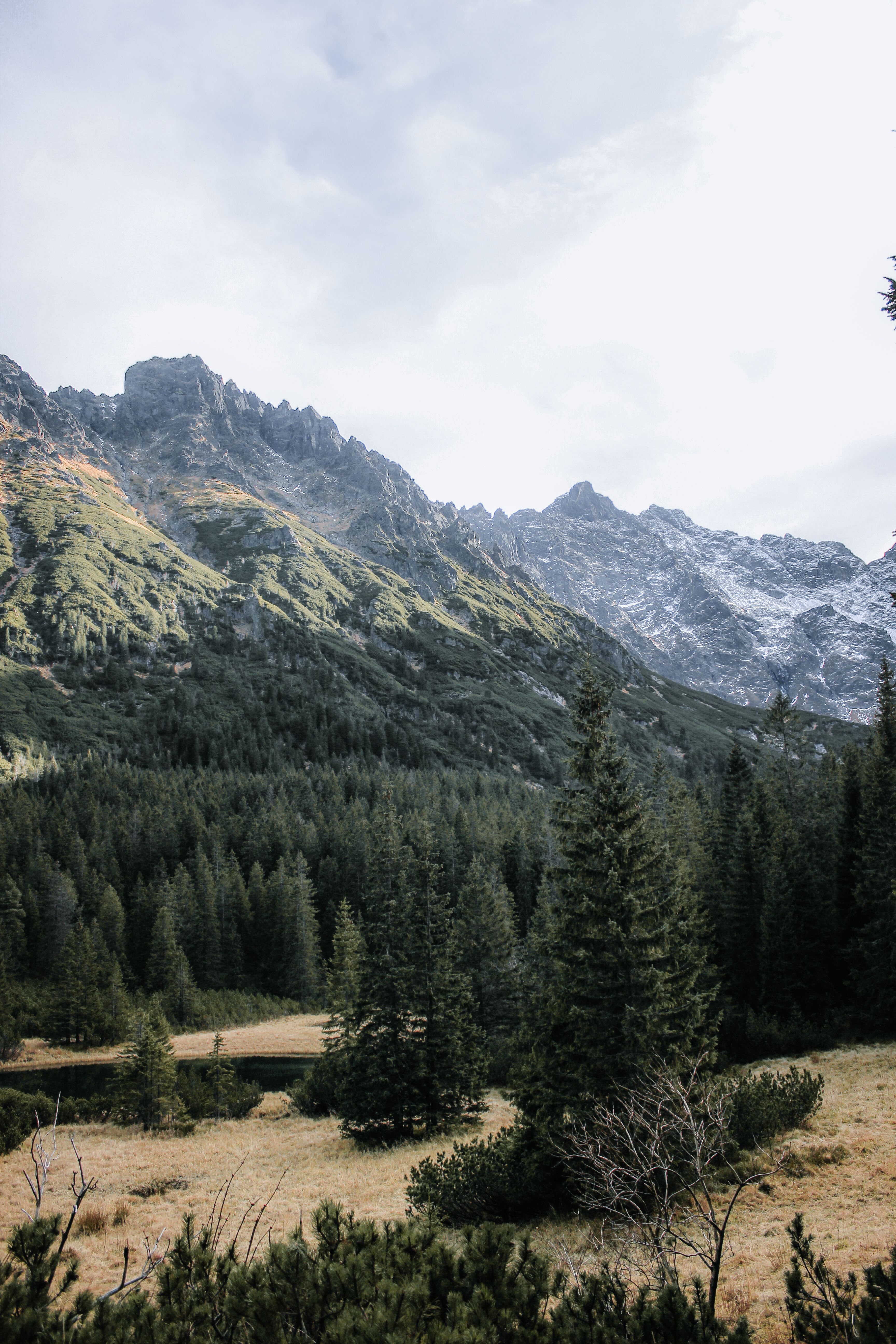 3456x5184 Mountain Forest Photo, Download The BEST Free Mountain Forest & HD Image