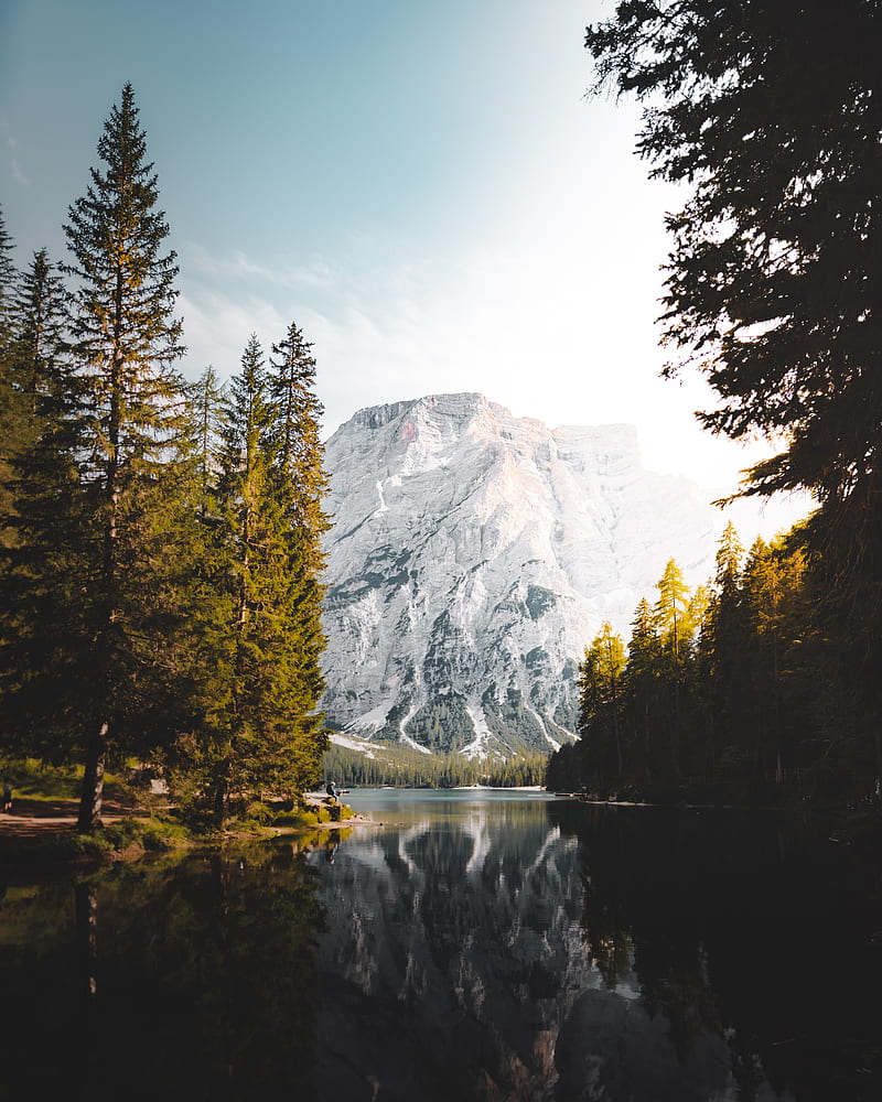 800x1000 Mountains, lake, forest, landscape, nature, HD phone wallpaper