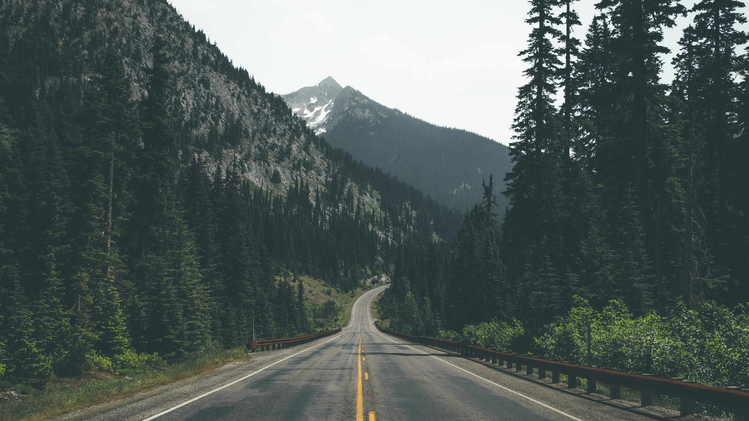 2560x1440 photography, Forest, Mountains, Road Wallpaper HD / Desktop and Mobile Background