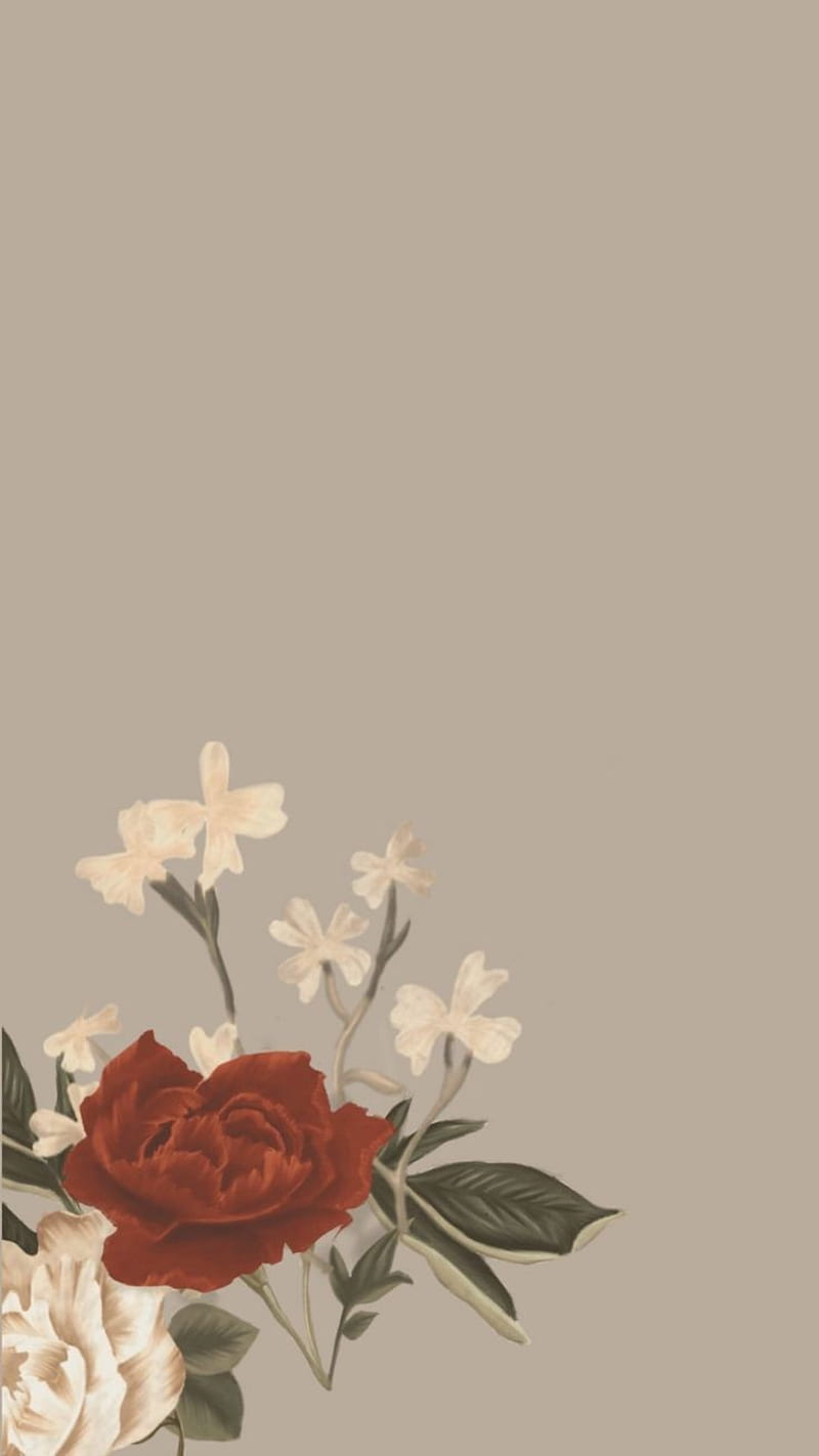 800x1422 Shawn Mendes, in my blood, sm HD phone wallpaper