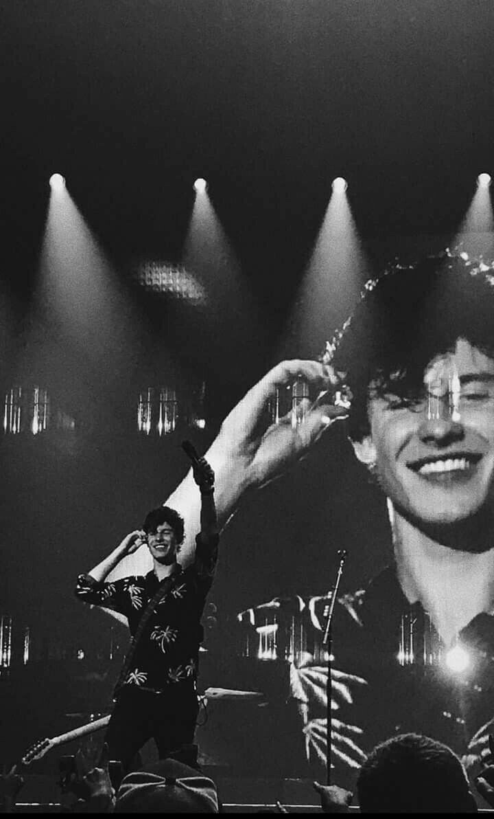 720x1192 Shawn Mendes Concert Wallpaper