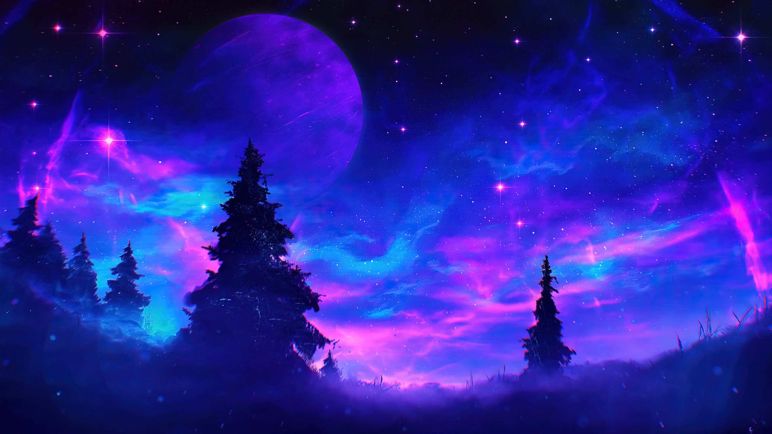 2560x1440 Beautiful Night Sky Scenery Anime Digital Art Wallpaper 4K HD PC h