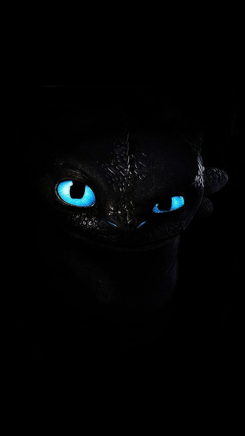 800x1422 Night fury, amoled, dragon, HD phone wallpaper