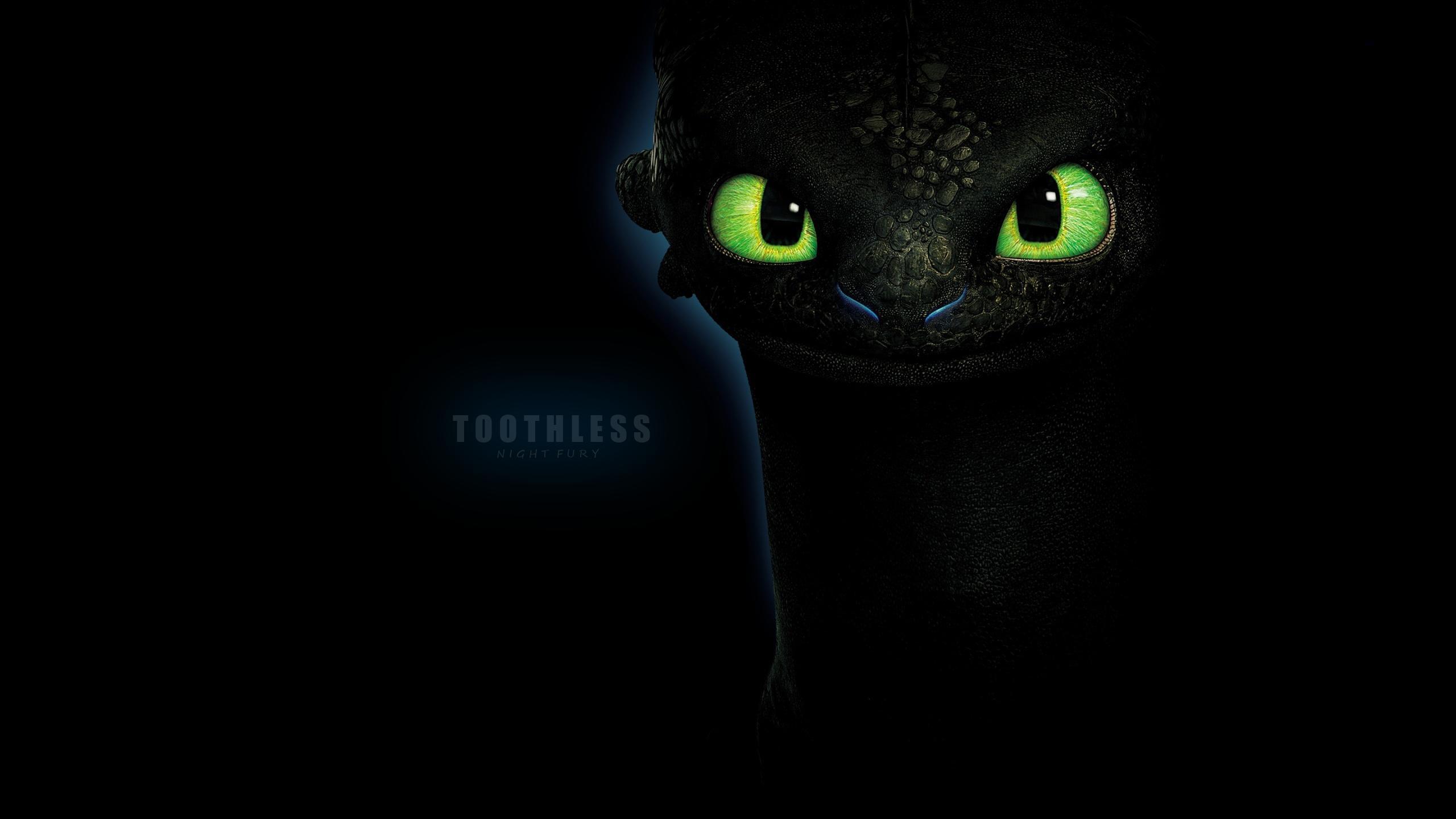 2560x1440 Night Fury HD Desktop Wallpaper 39490