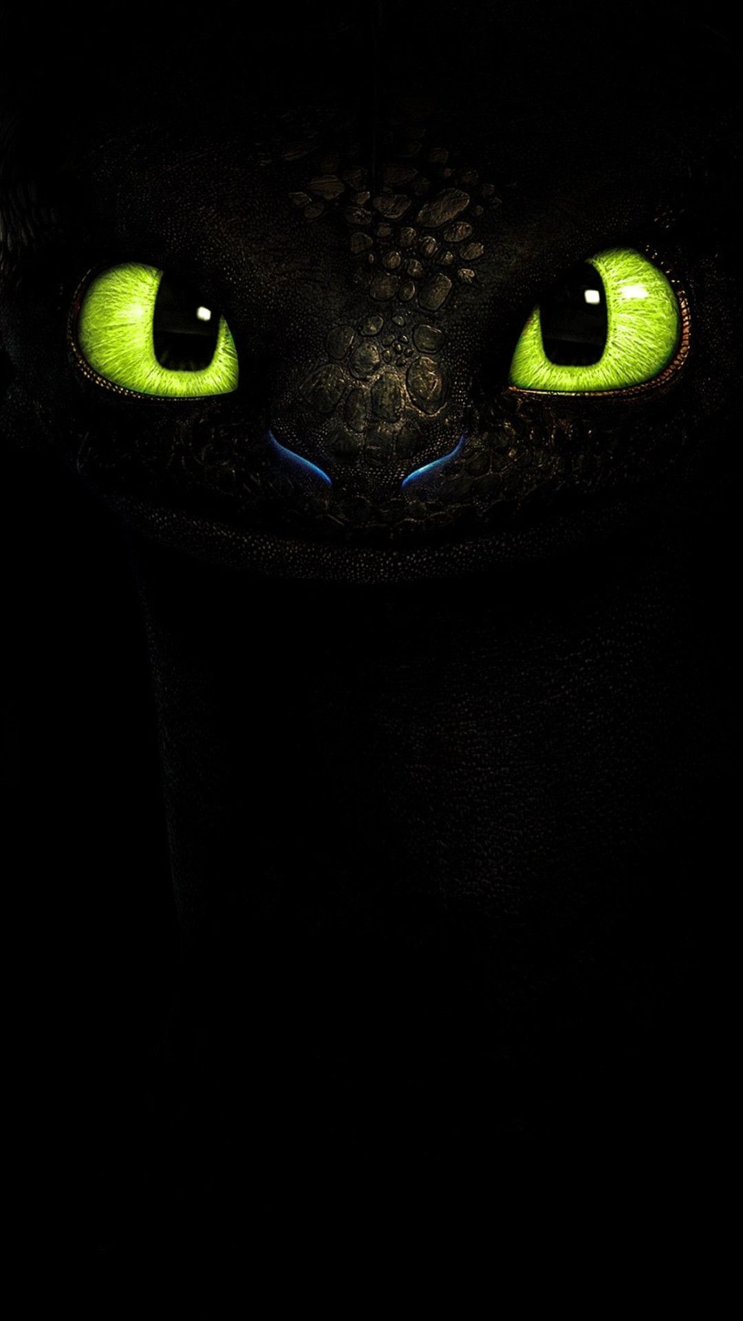 1080x1920 Night Fury Dragon High Definition Wallpaper 39485