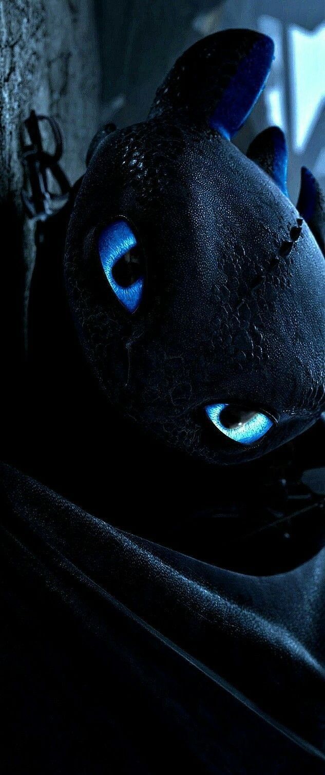 633x1509 Toothless 4k wallpaper