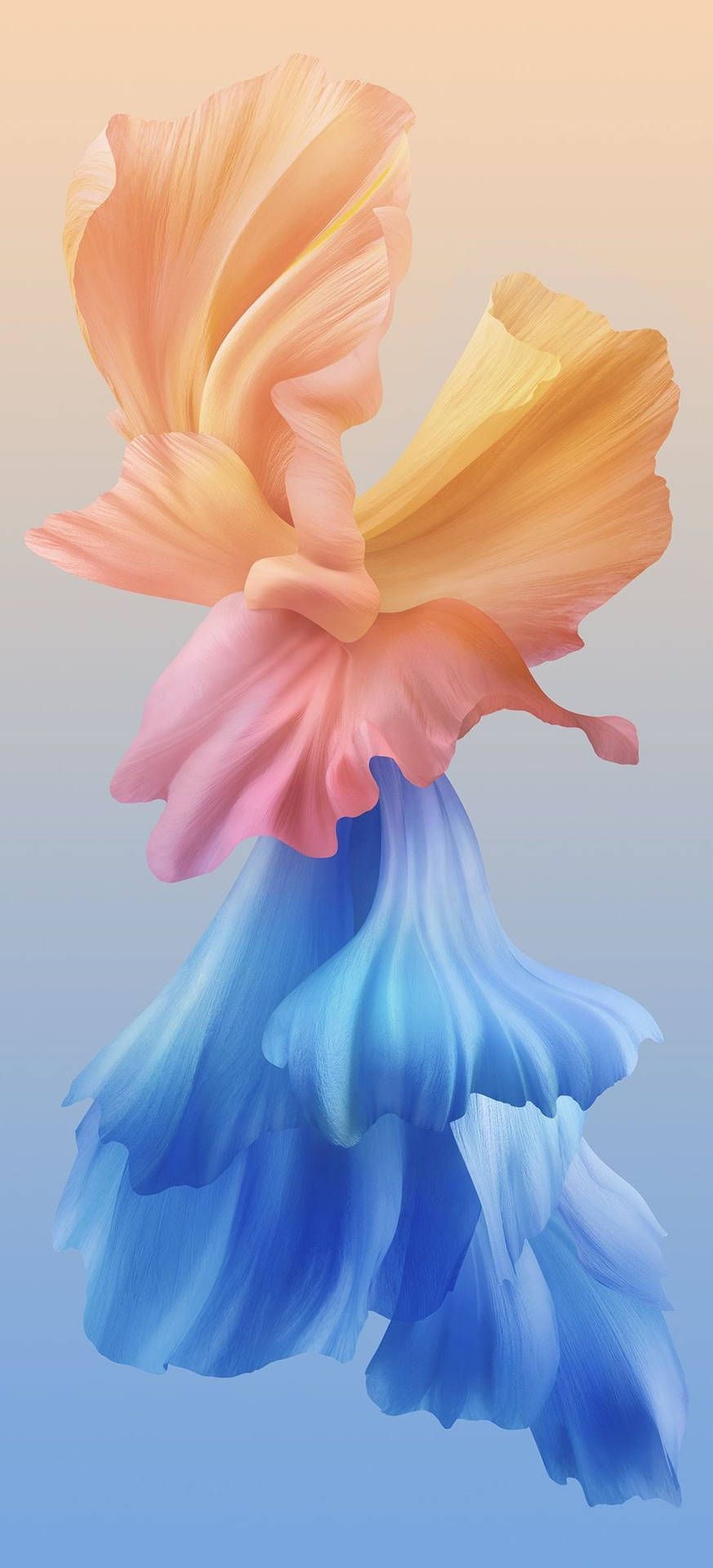 873x1920 Vivo 4k Wallpaper