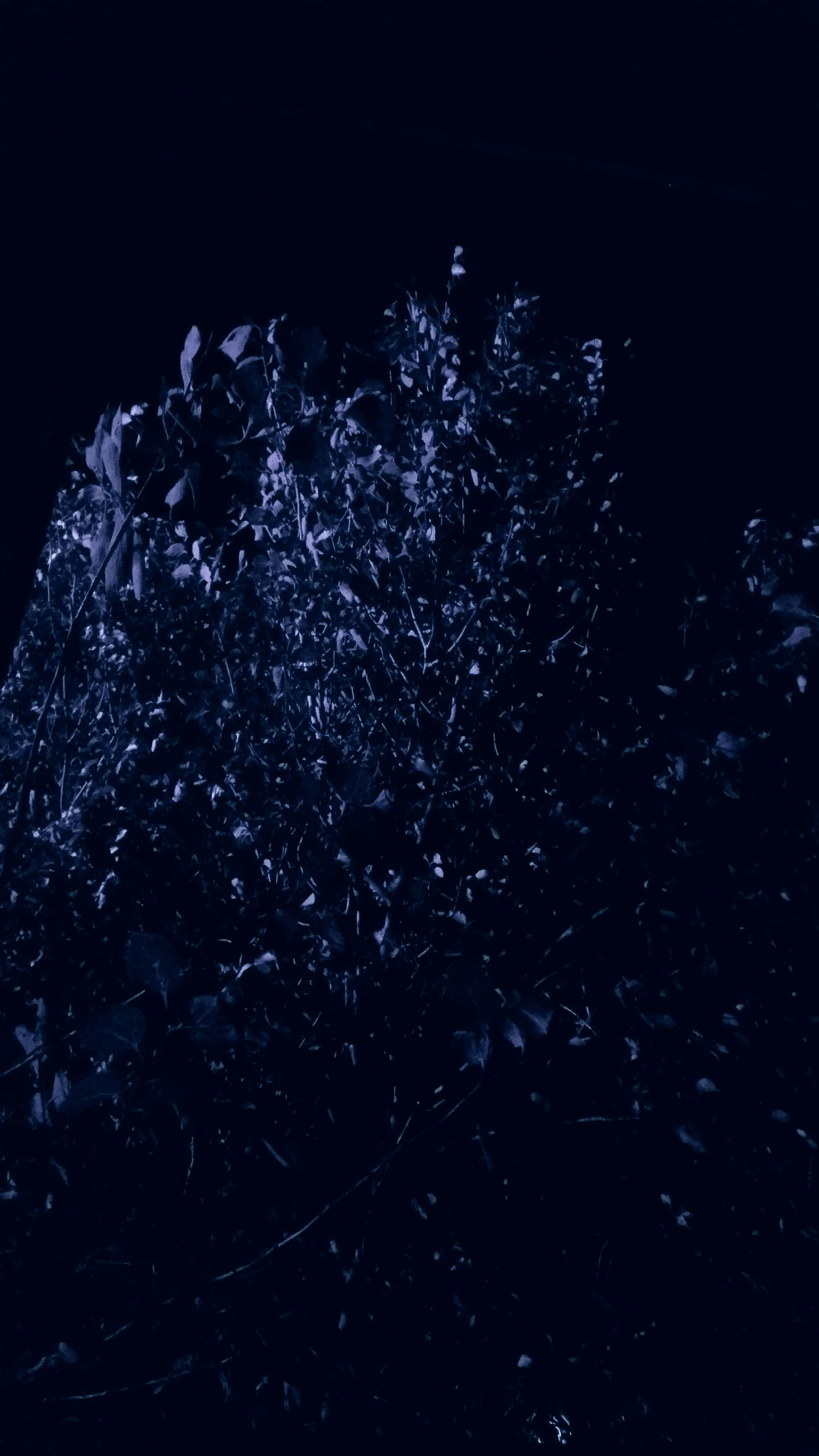 2660x4730 Vivo Y02 Wallpaper