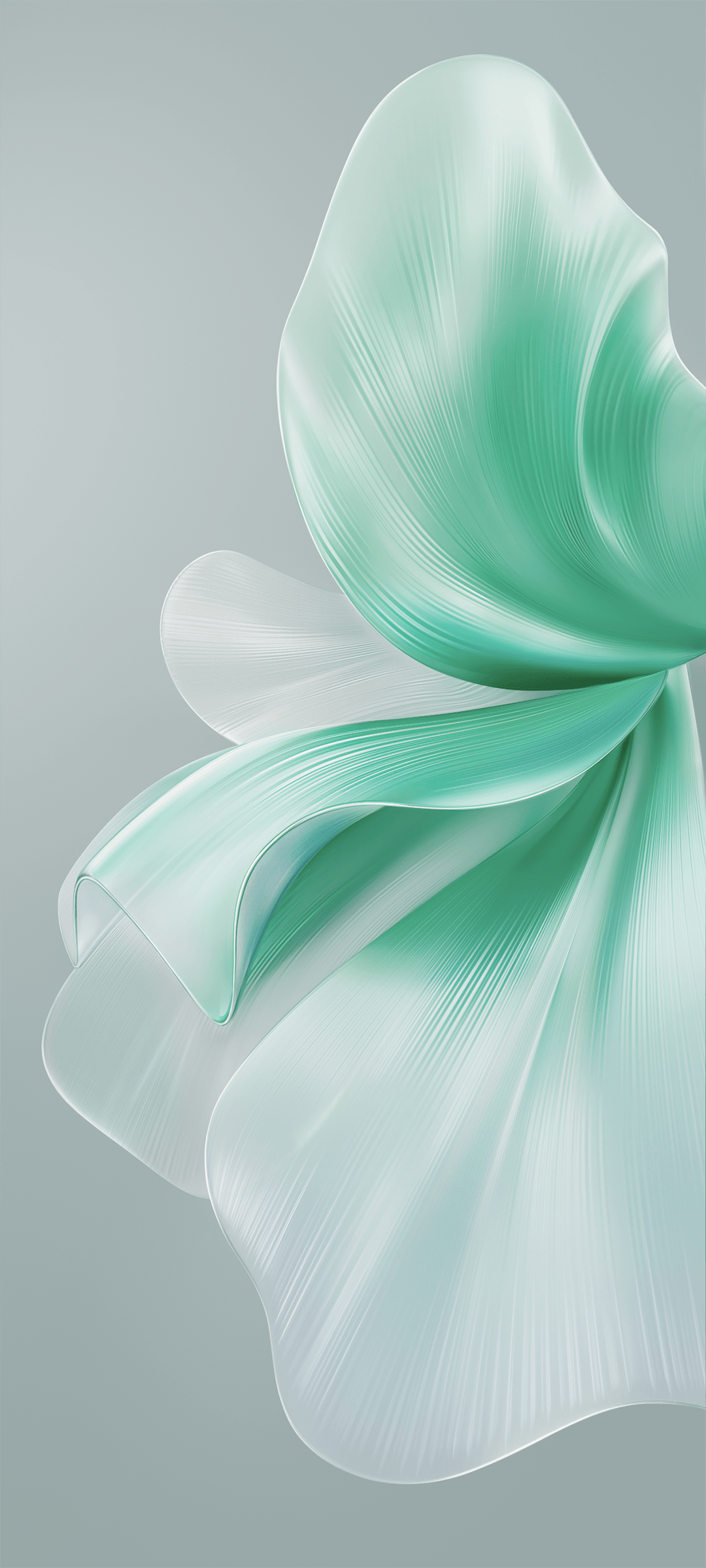1080x2400 Vivo Mobile Wallpaper HD 1080p