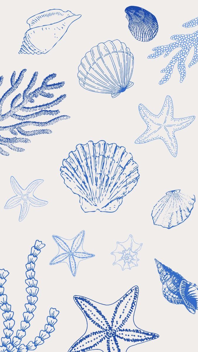 675x1200 Blue Seashell Wallpaper. Beach Themed Home Decor Ideas, Blue Ocean Themed Art, Diy Ocean Inspired Crafts