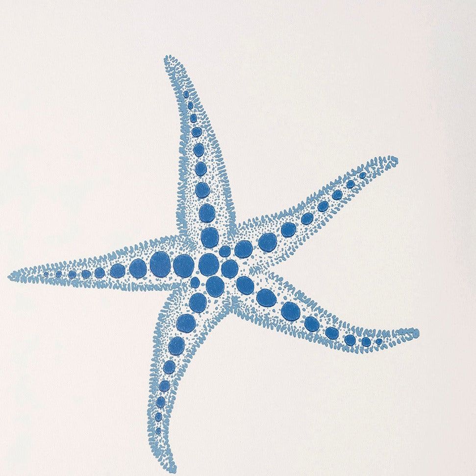 971x971 Starfish Wallpaper