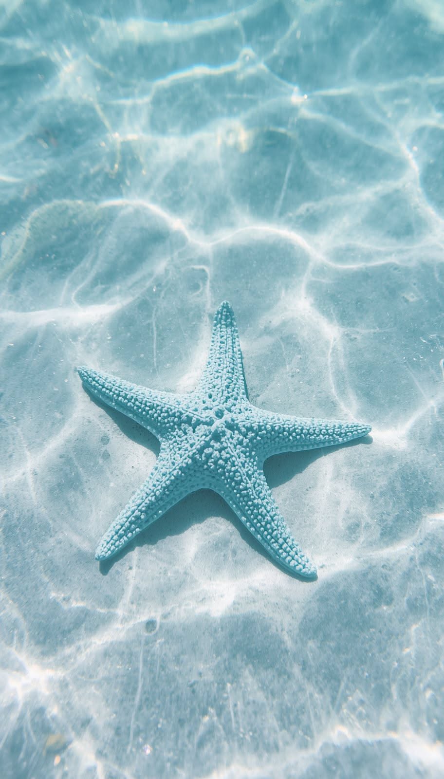 912x1600 Underwater Photography Blue Starfish