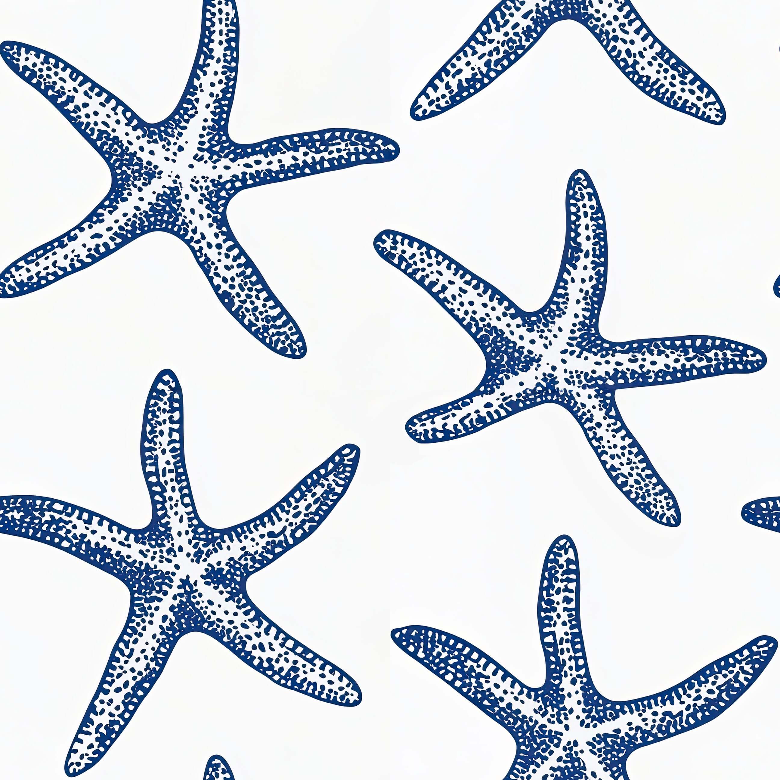 2592x2592 Seaside Stars Wallpaper