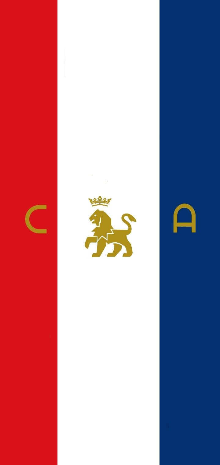 720x1520 CA OSASUNA LOGO WALLPAPER