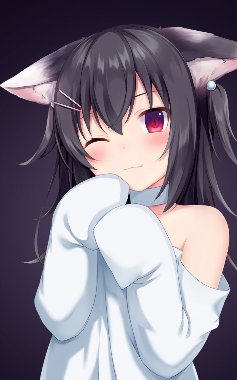 800x1280 Anime Girl Cat Ears 4k Nexus Samsung Galaxy Tab Note Android Tablets , HD 4k Wallpaper, Image, Background, Photos and Picture