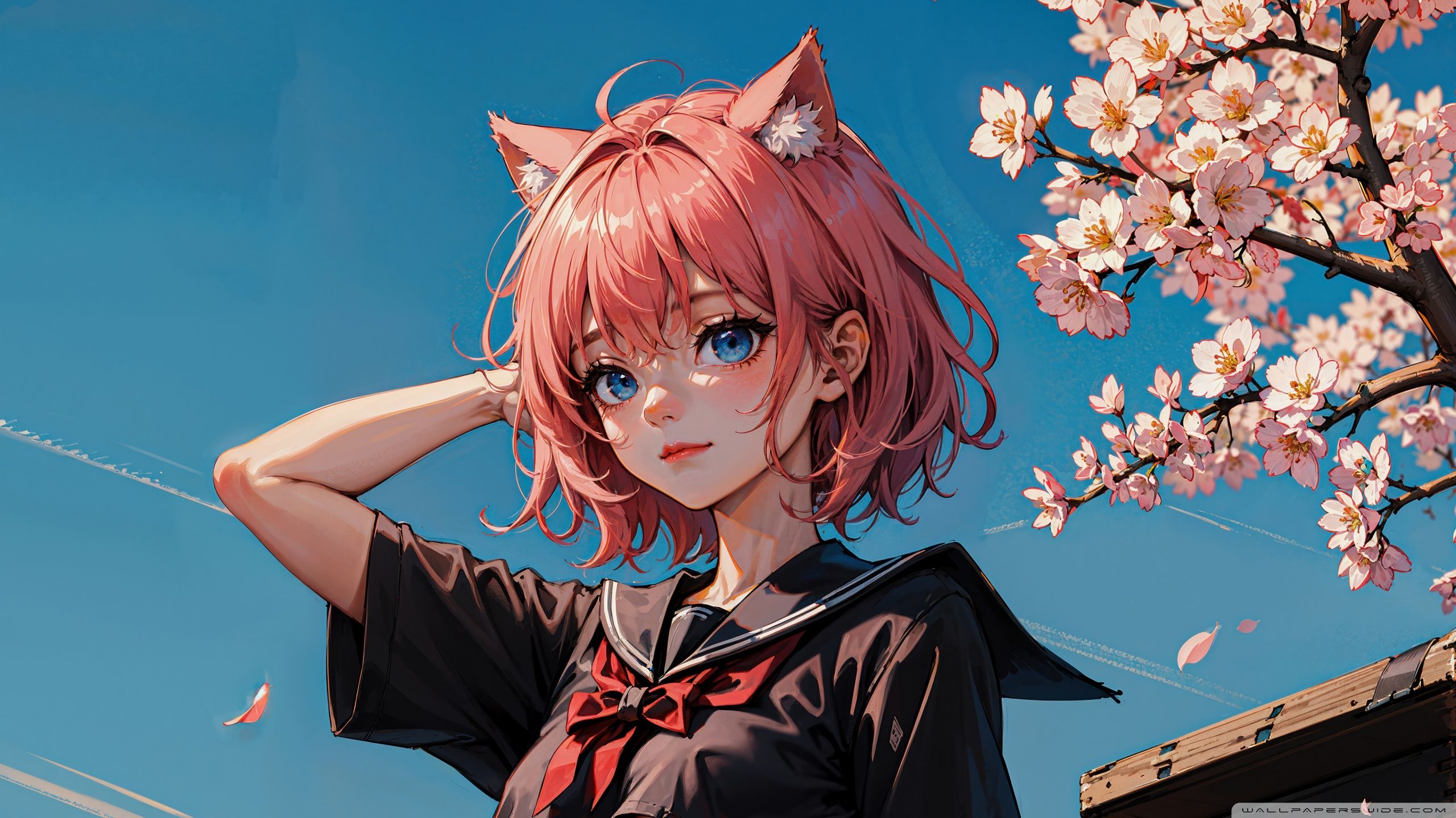 2560x1440 Cute Anime Girl with Cat Ears 4K UHD Wallpaper for UltraHD Desktop and TV : Widescreen and UltraWide Display : Dual Monitor : Smartphone and Tablet Devices