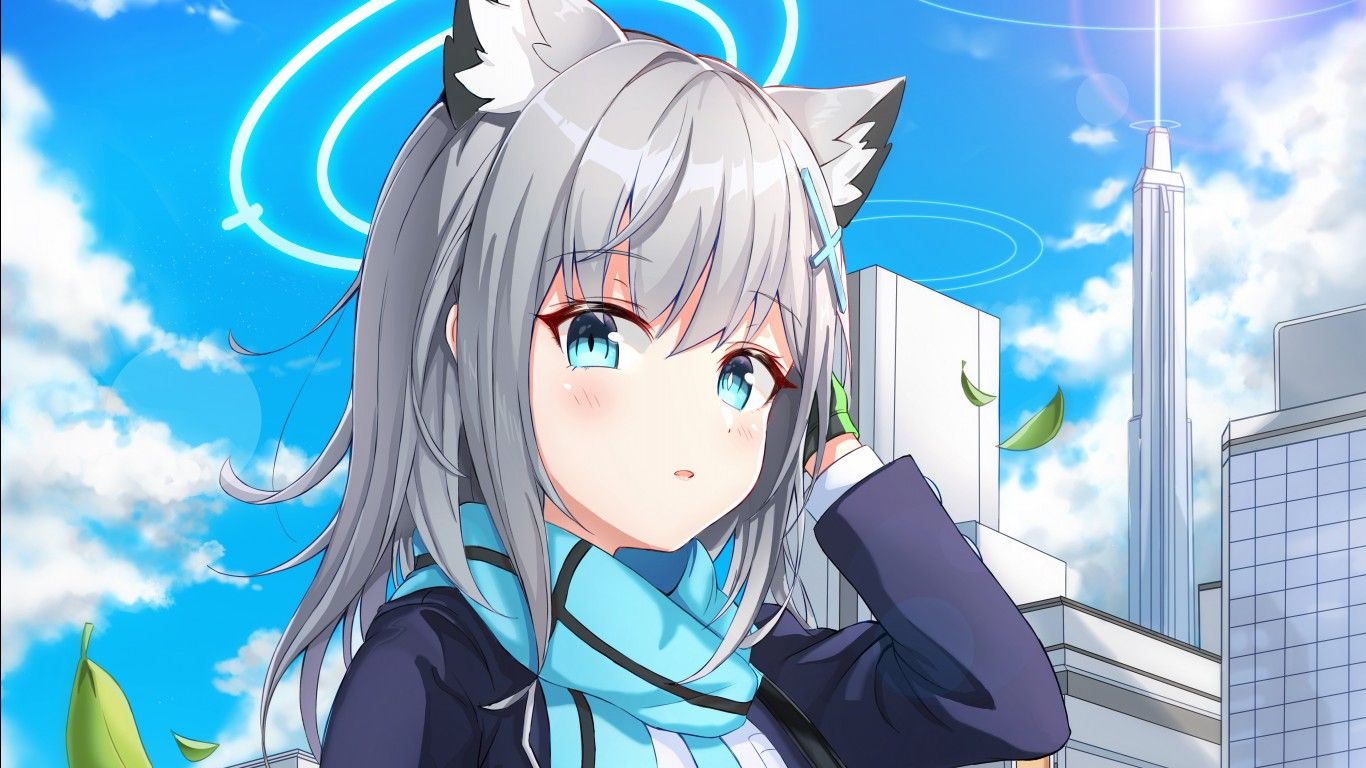 1366x768 Blue Eyes Neko Ears White Hair Anime Girl With Blue Scarf Sky Background 4K 5K HD Anime Girl Wallpaper